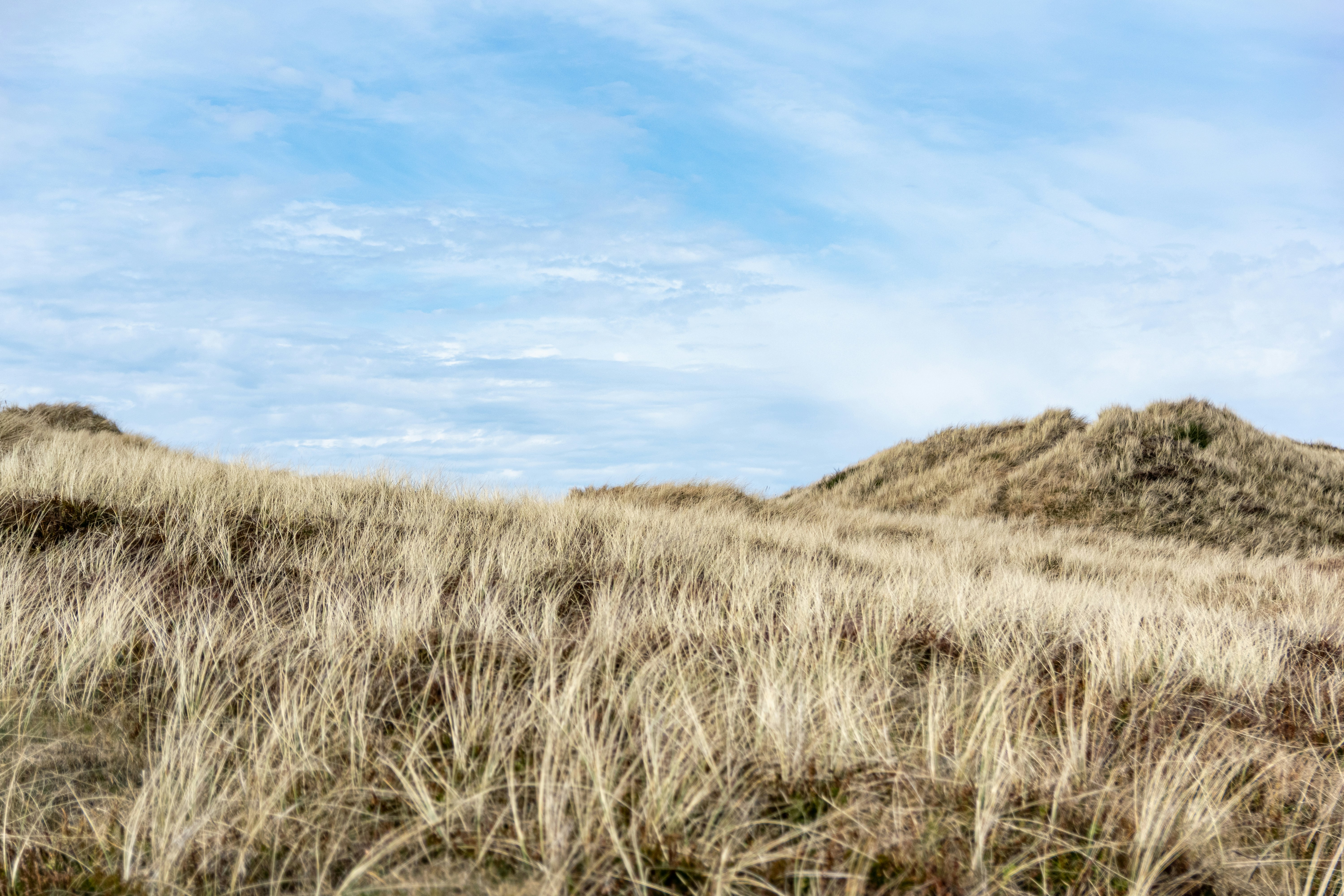 Photo by binekrafczyk