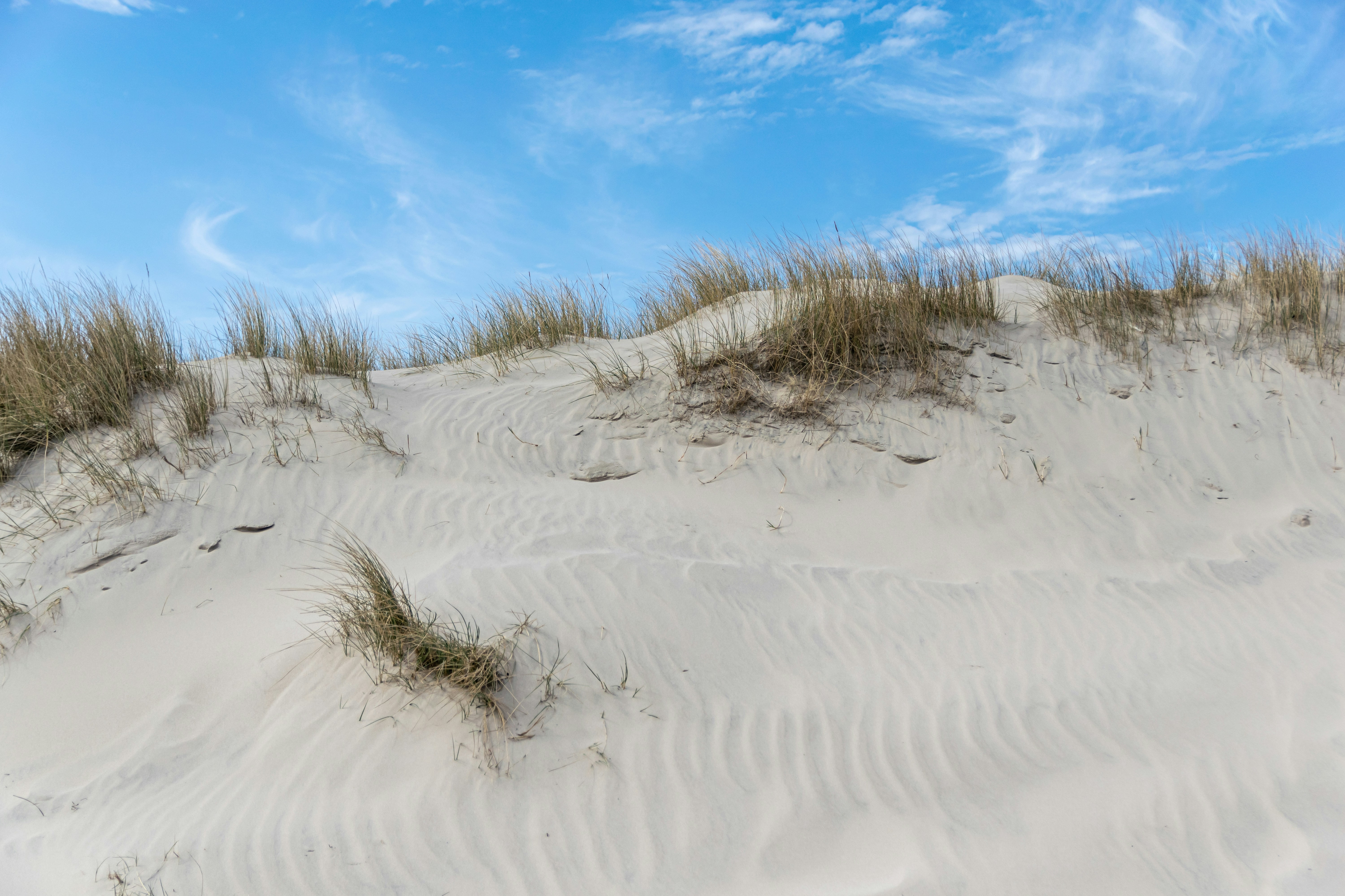 Photo by binekrafczyk