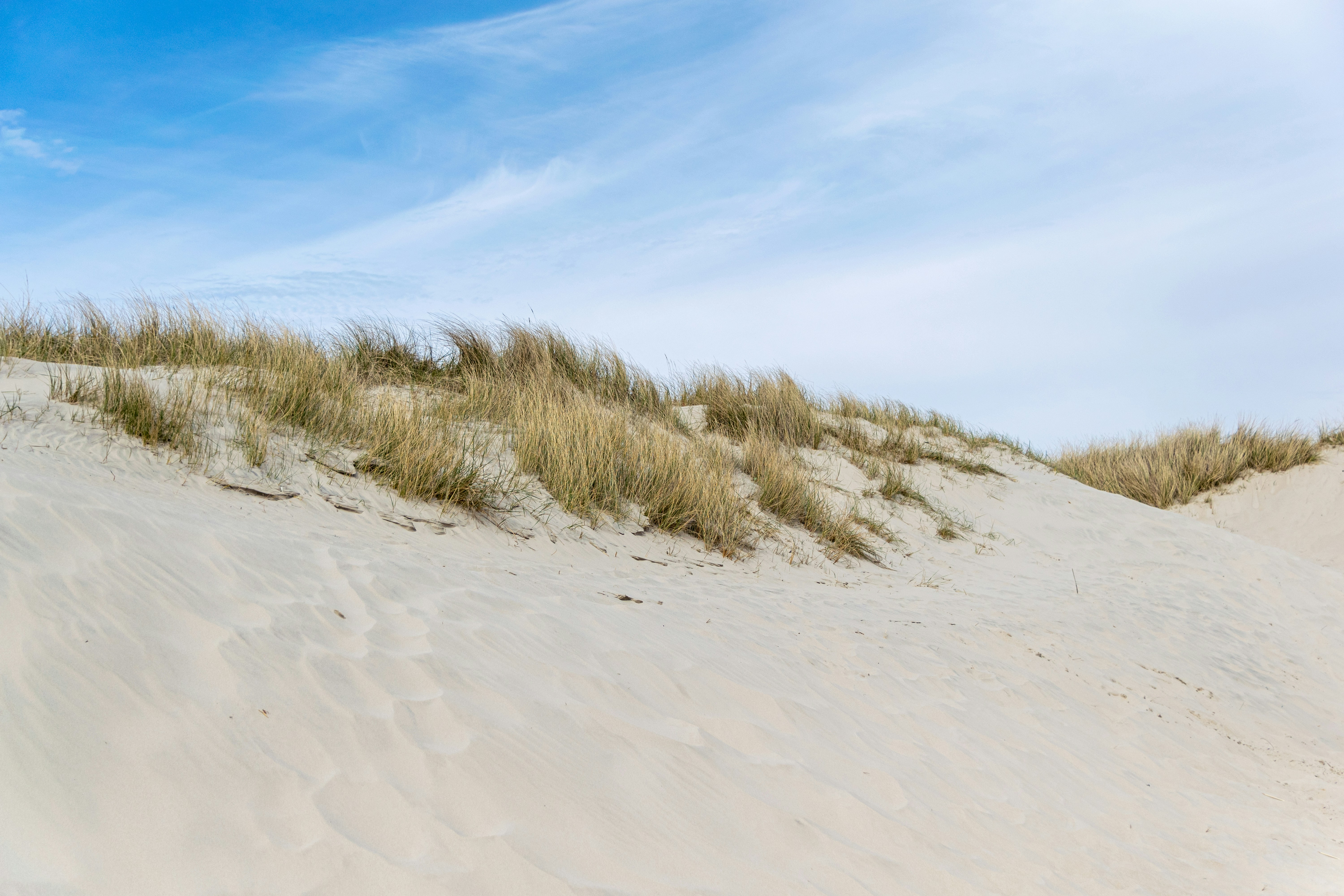 Photo by binekrafczyk