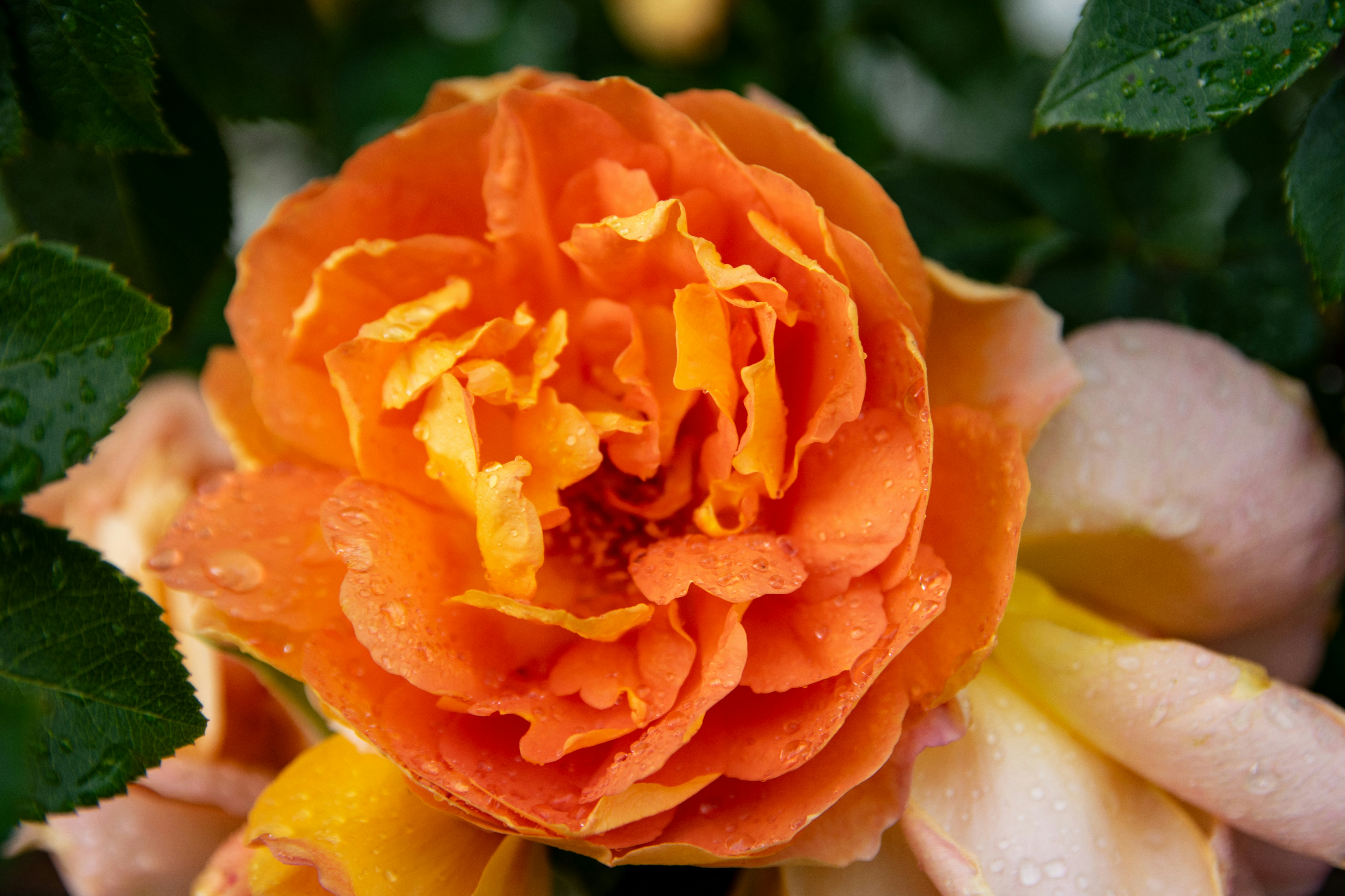 Photo by binekrafczyk