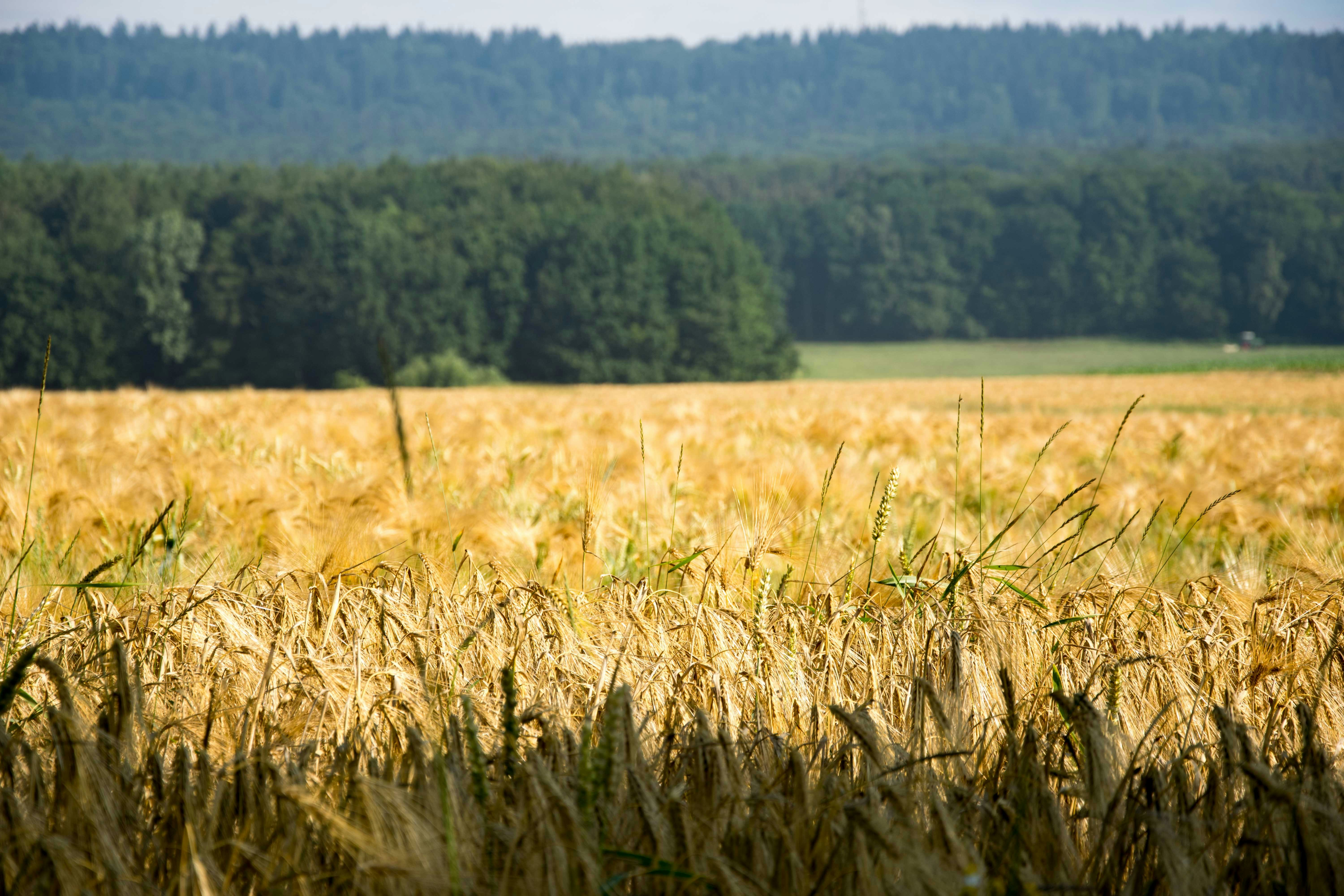 Photo by binekrafczyk