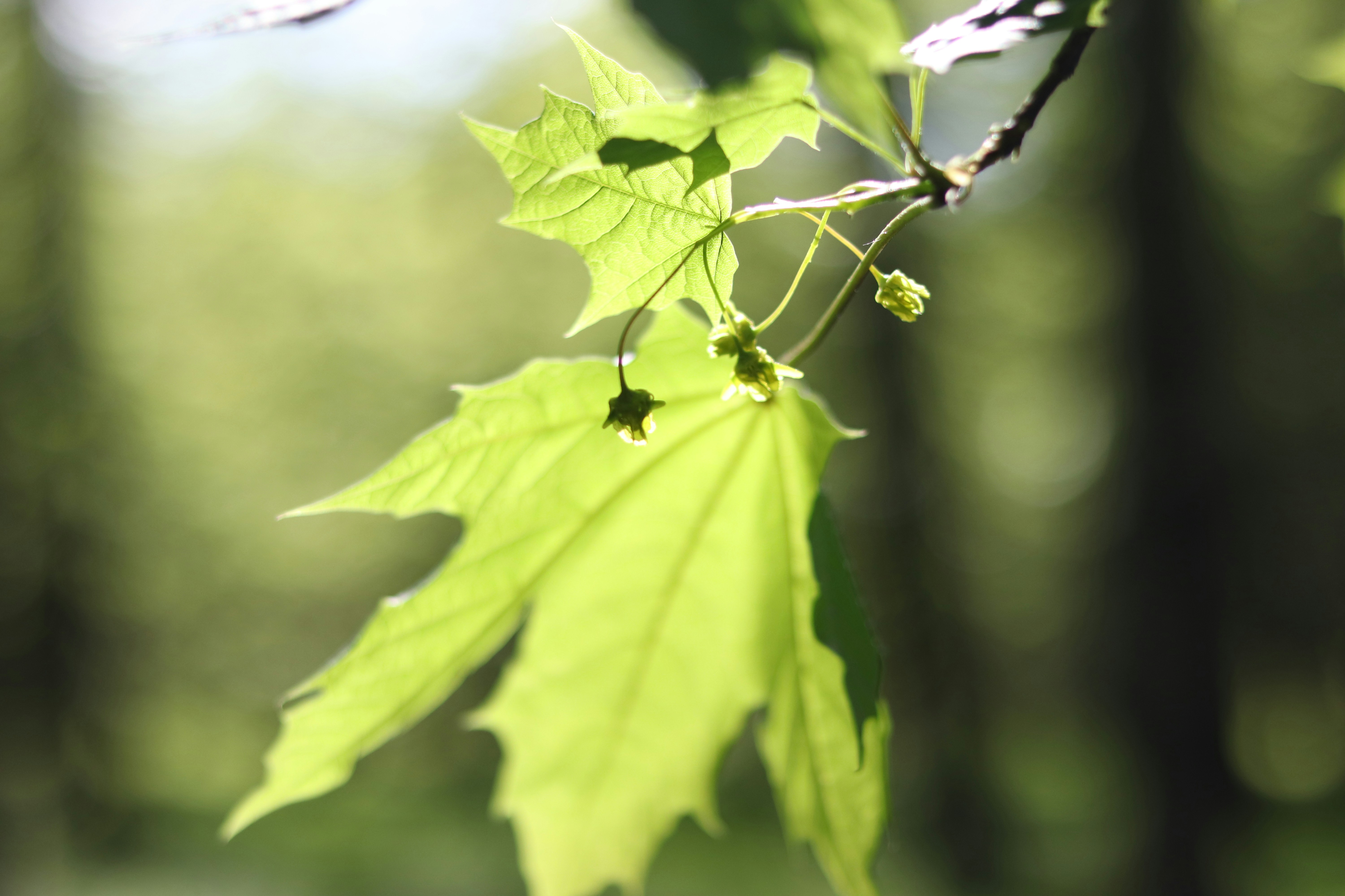 Photo by milagrosira999