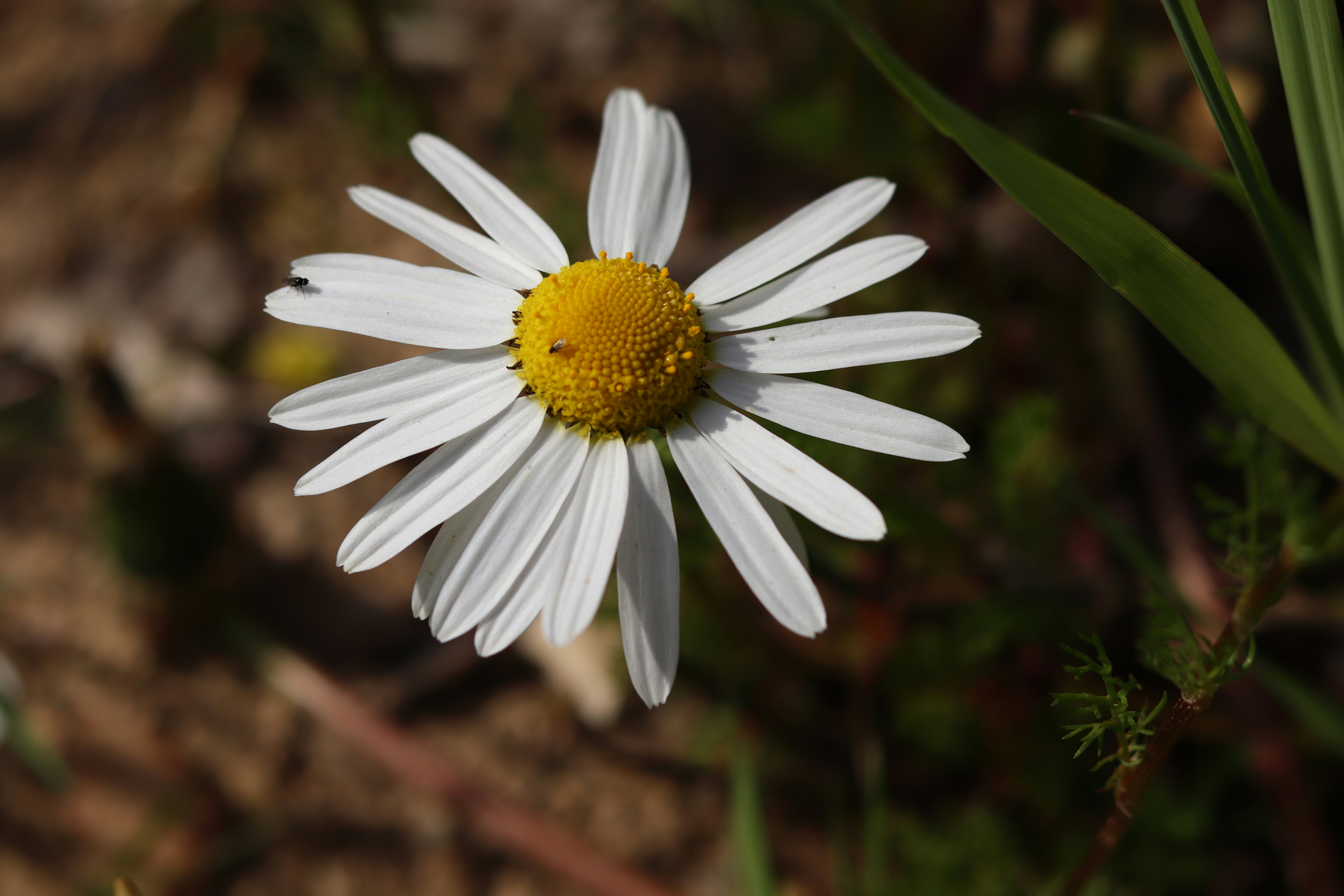 Photo by milagrosira999