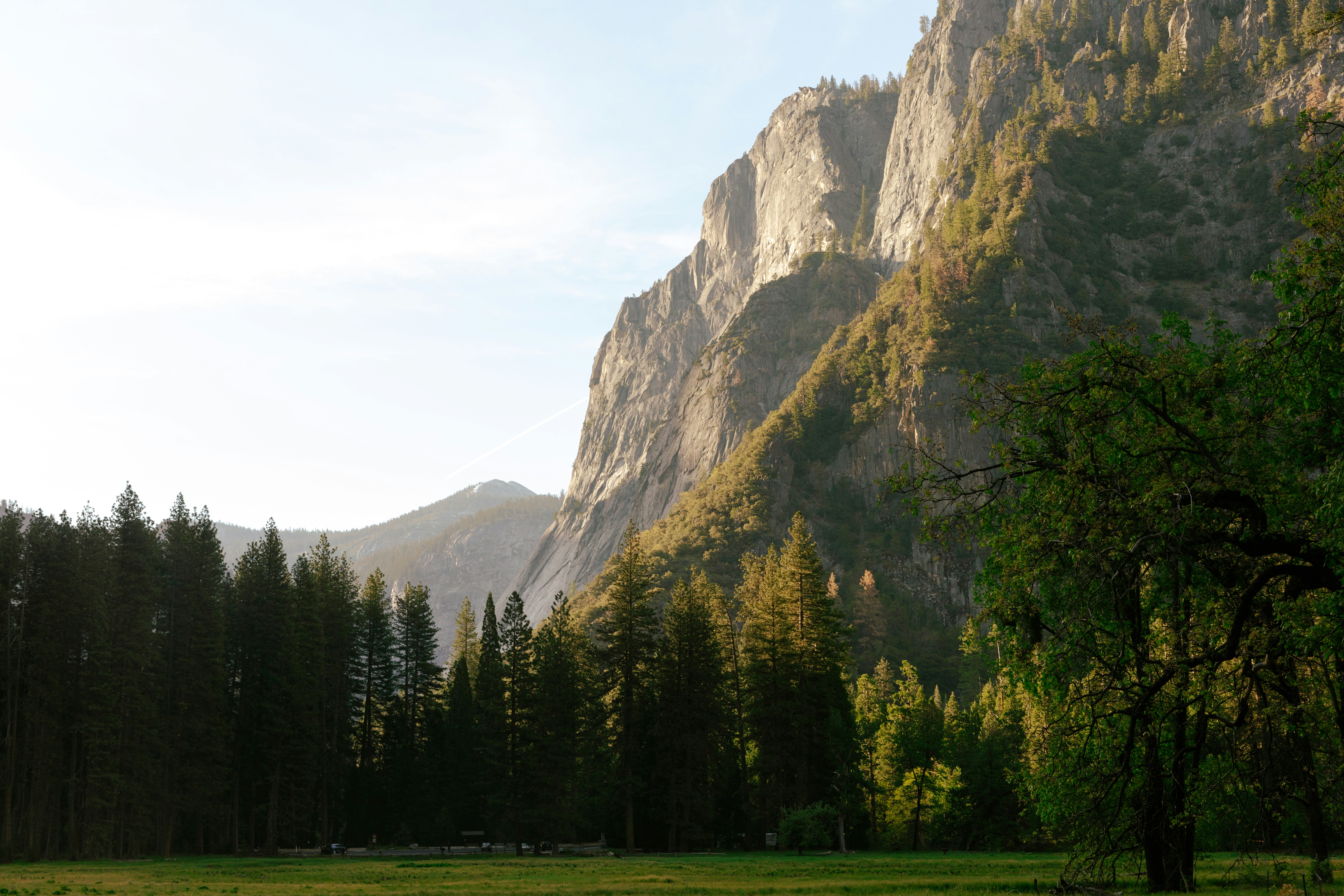 Photo by paularturotorres