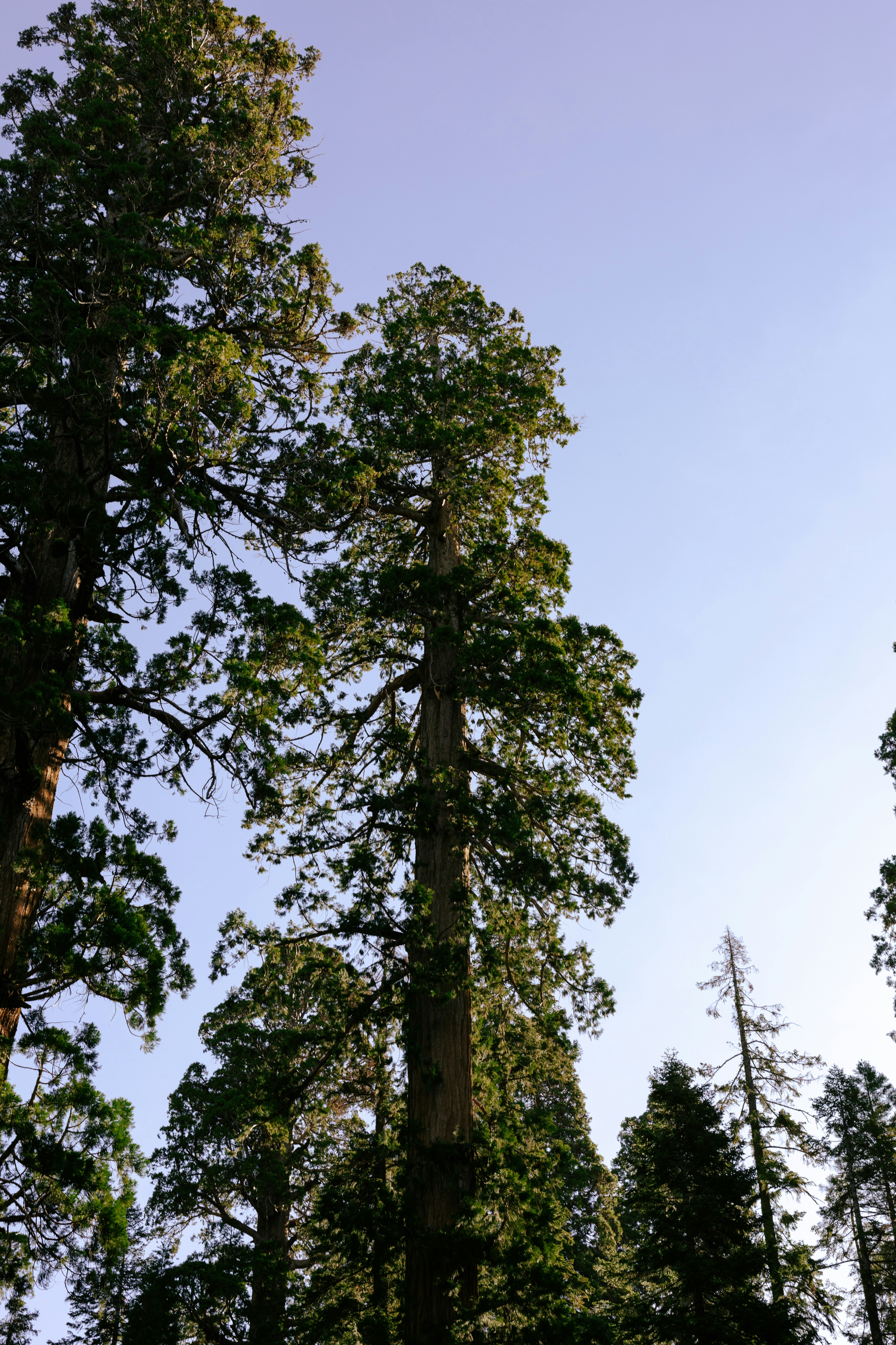 Photo by paularturotorres