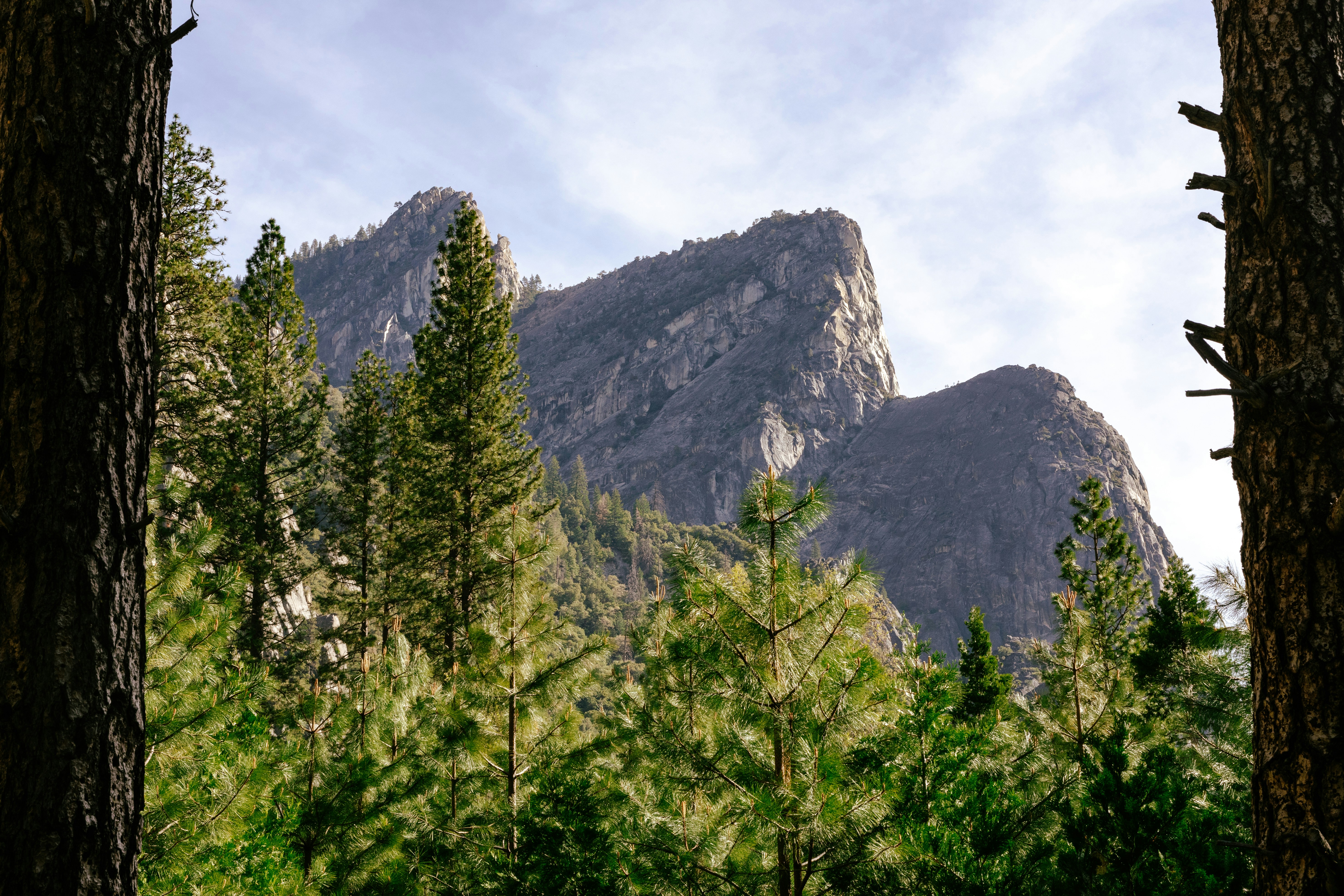 Photo by paularturotorres