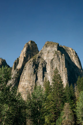 Towering sandstone pillars of Adršpach–Teplice Rocks under a clear blue sky.