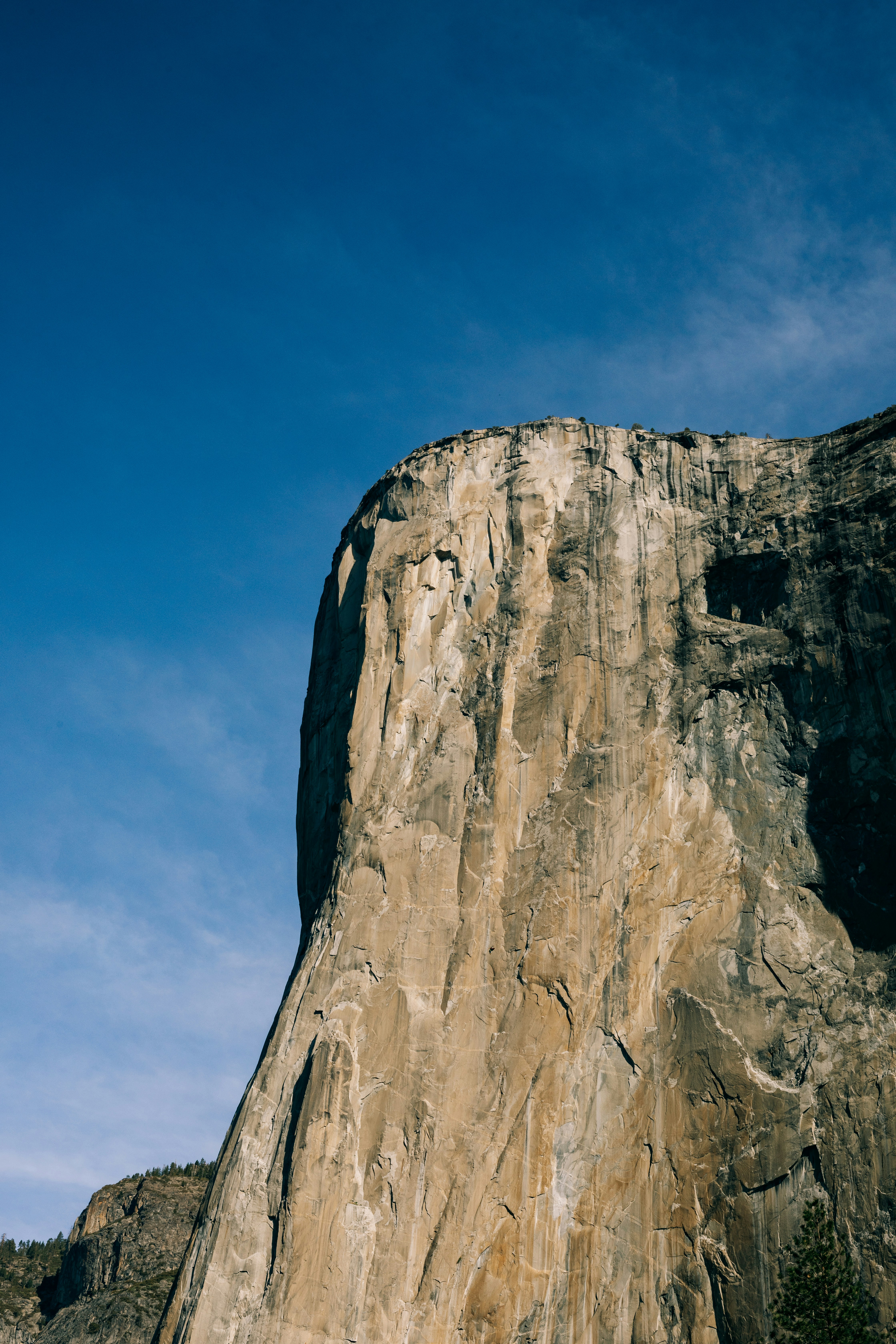 Photo by paularturotorres