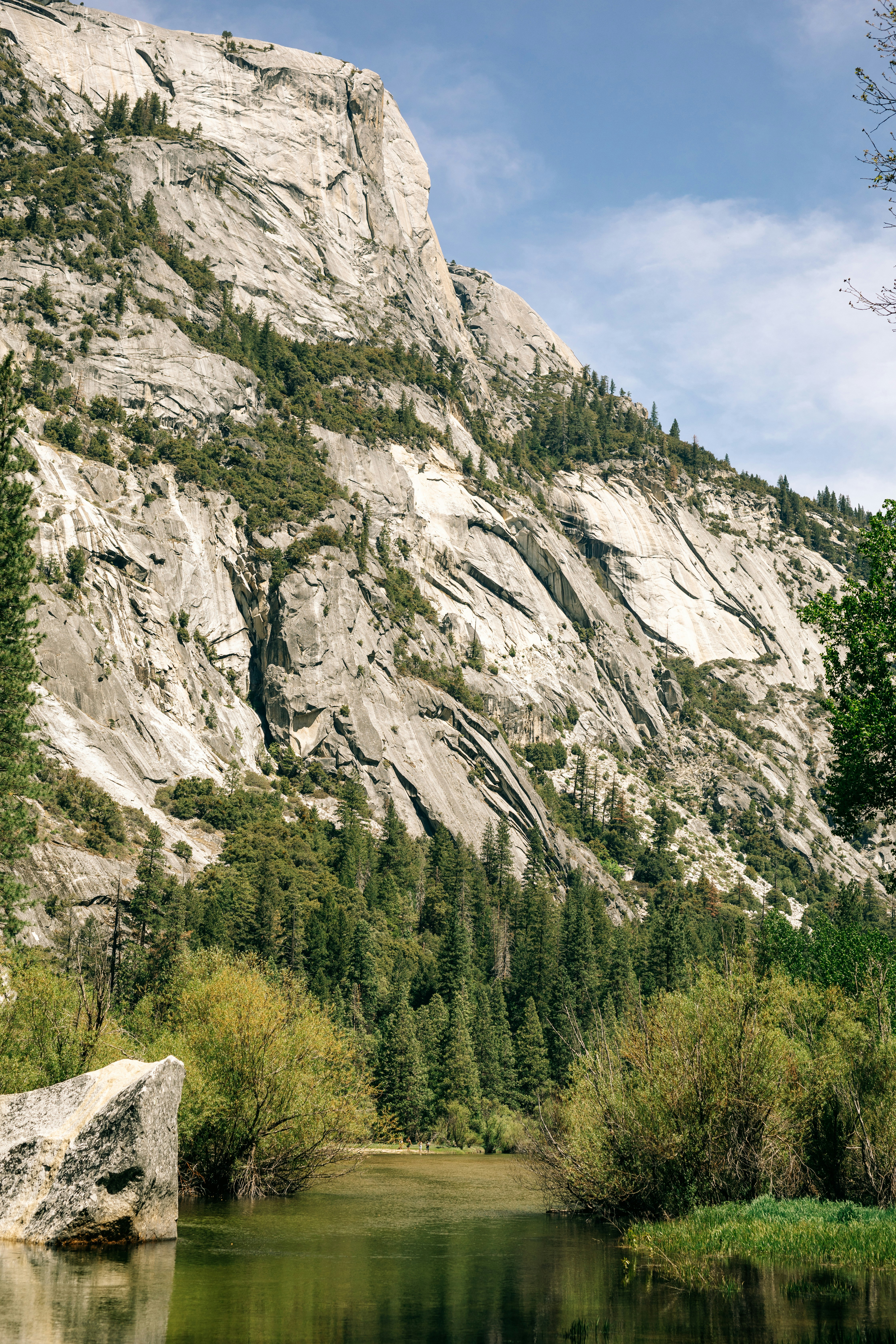 Photo by paularturotorres