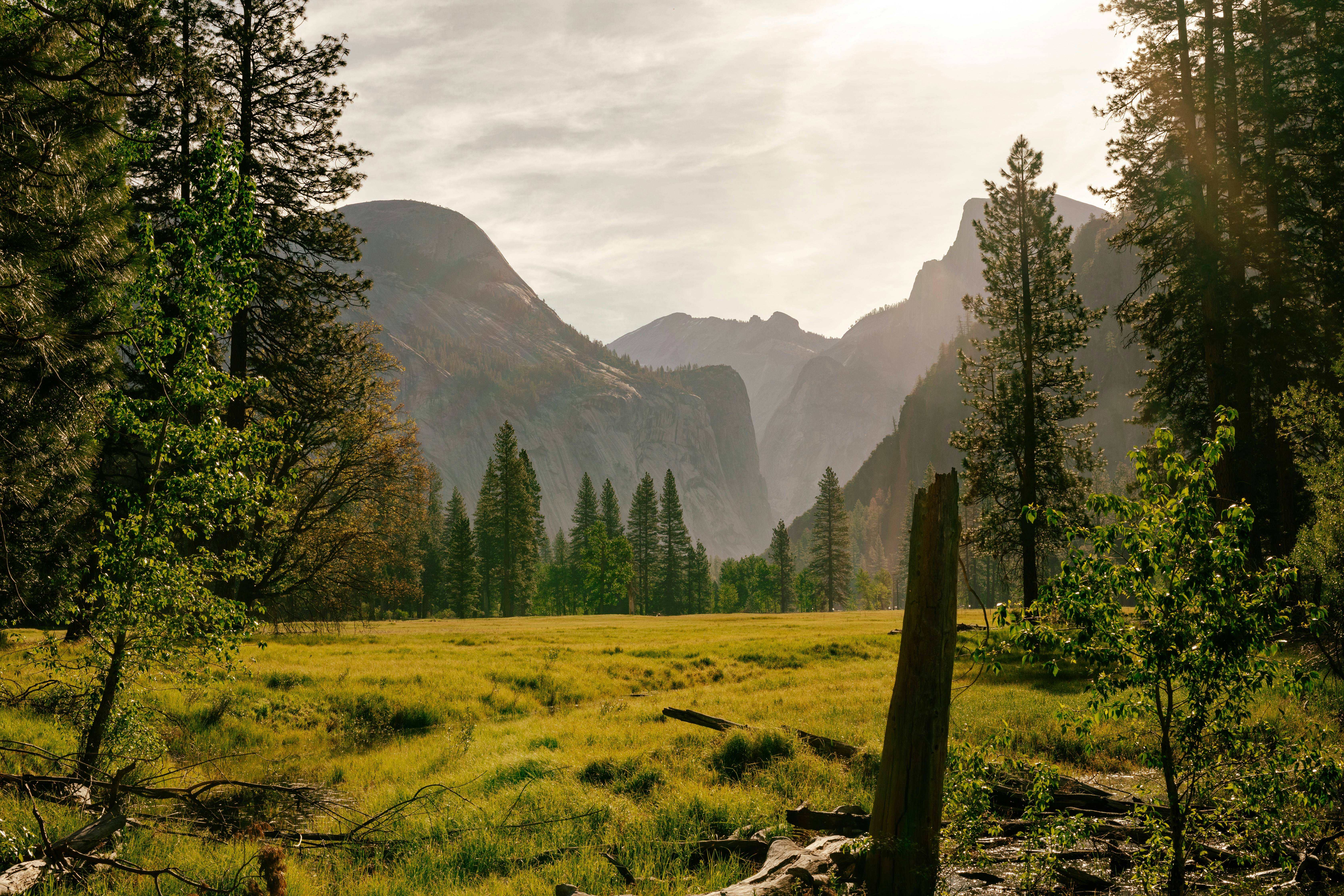 Photo by paularturotorres