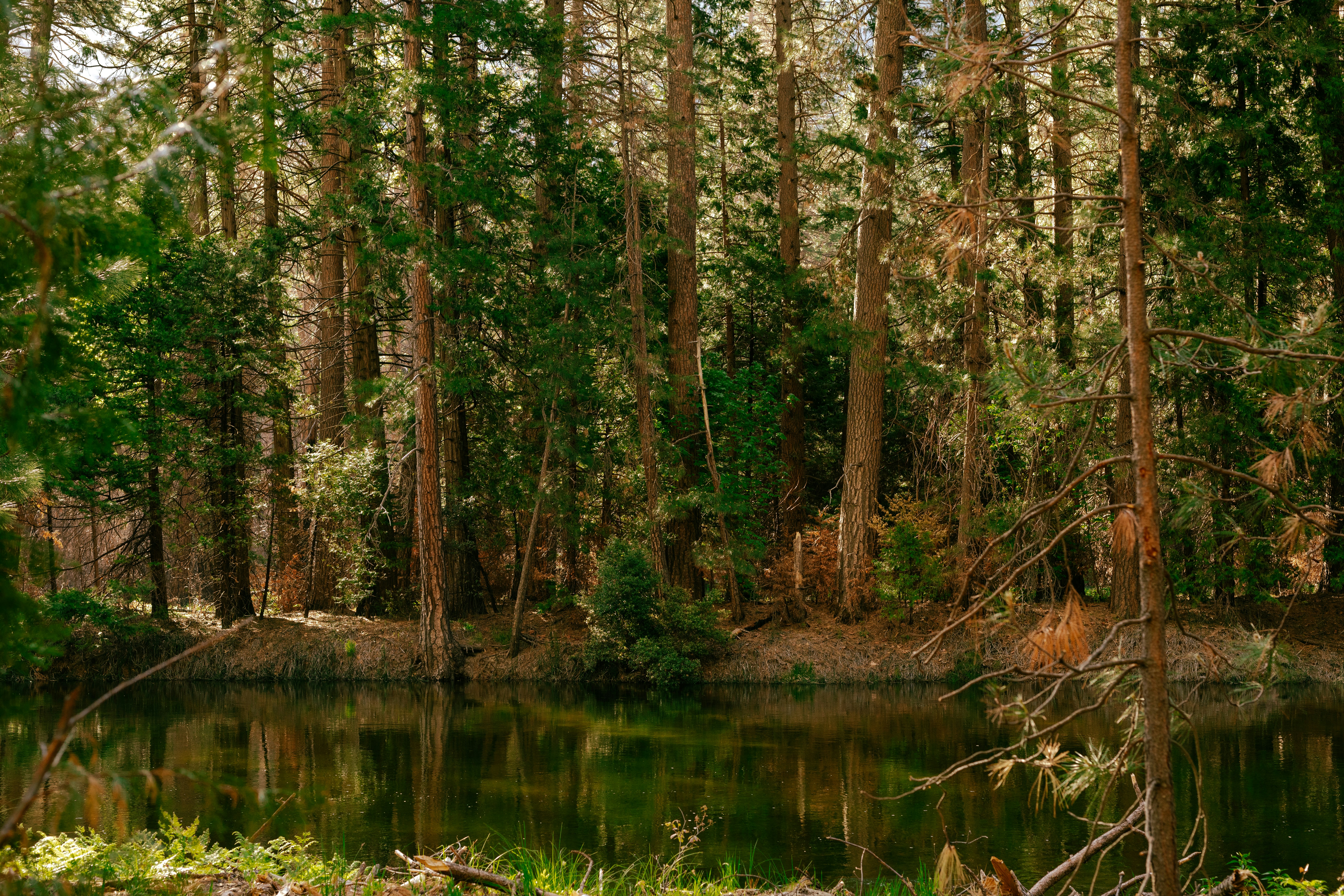 Photo by paularturotorres