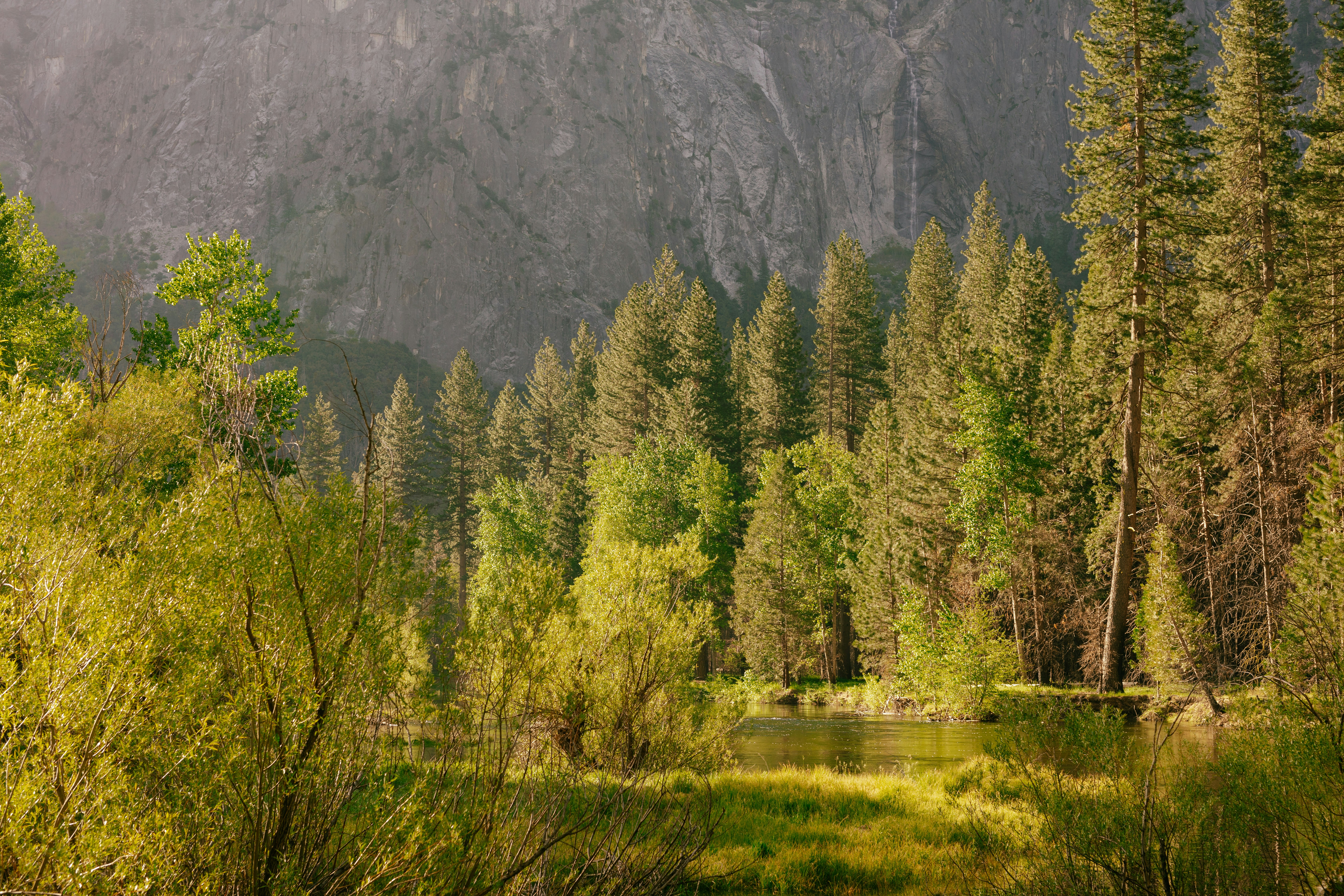 Photo by paularturotorres