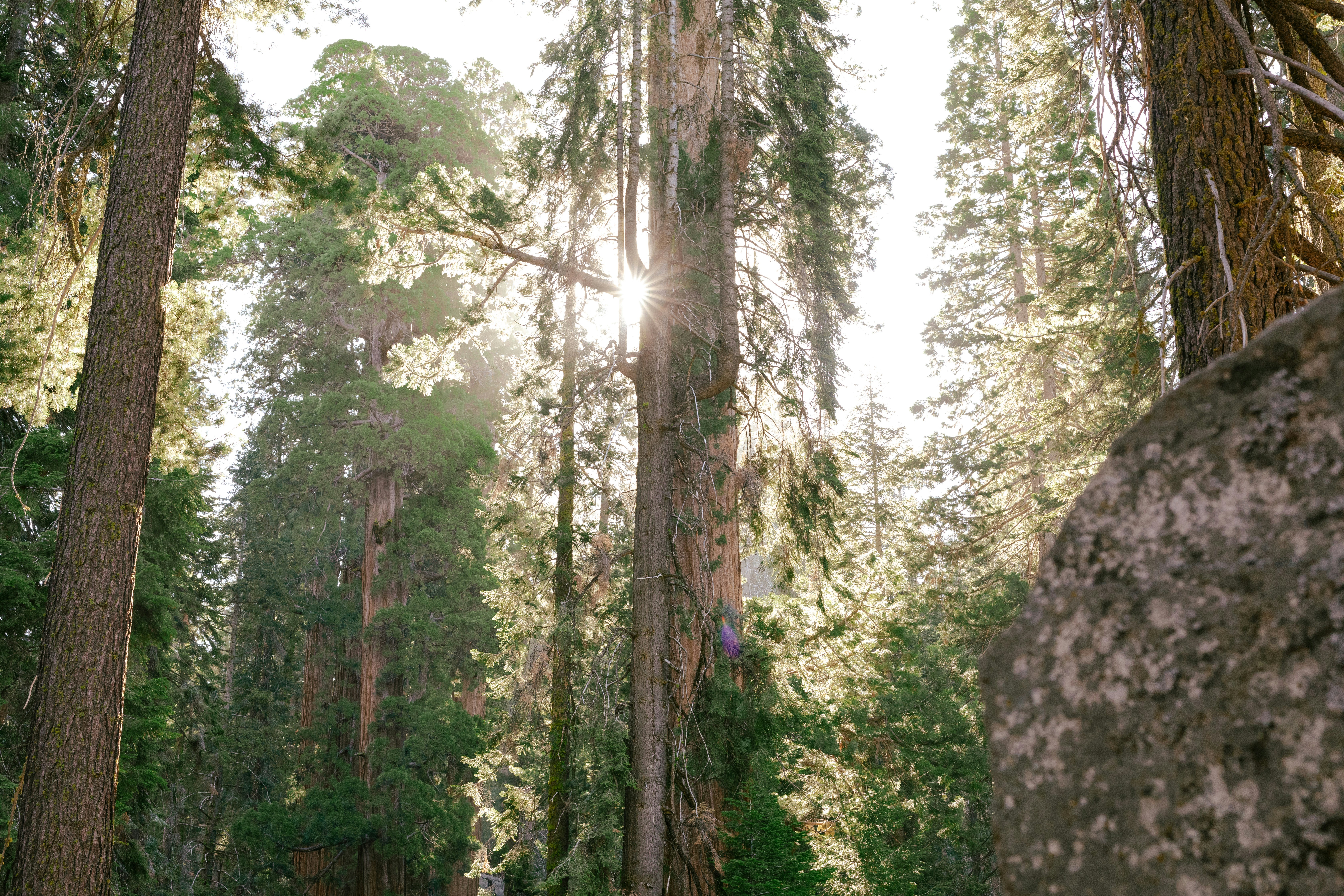 Photo by paularturotorres