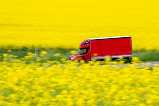 dịch vụ giao hàng giỏ hoa Thảo Nhi Flower tại thuận an và thủ dầu một