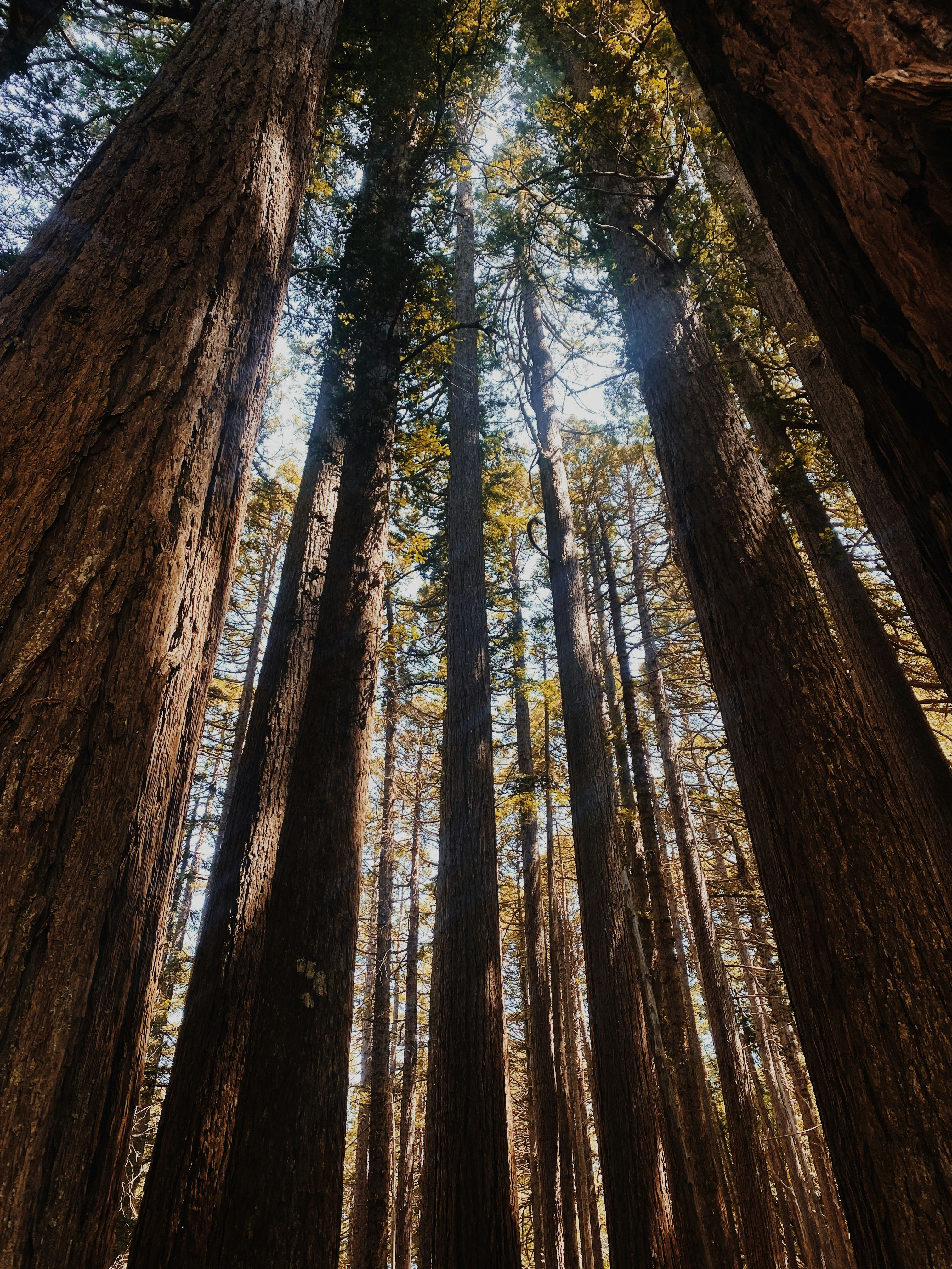 Photo by patterson20