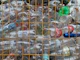 a bunch of bottles that are in a cage