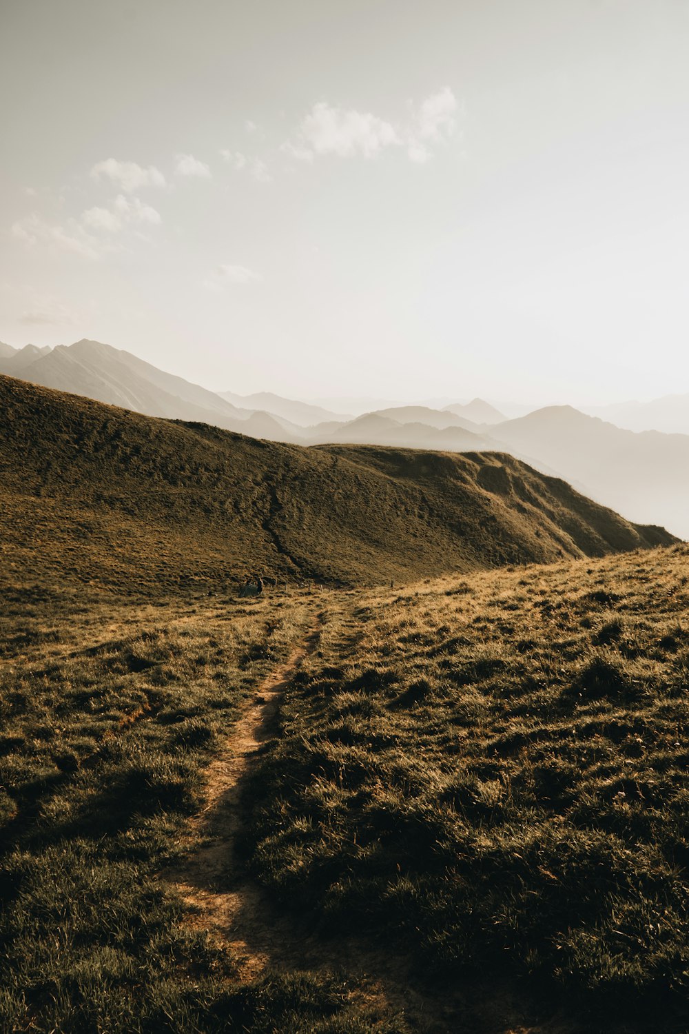 a dirt path in the middle of a grassy field