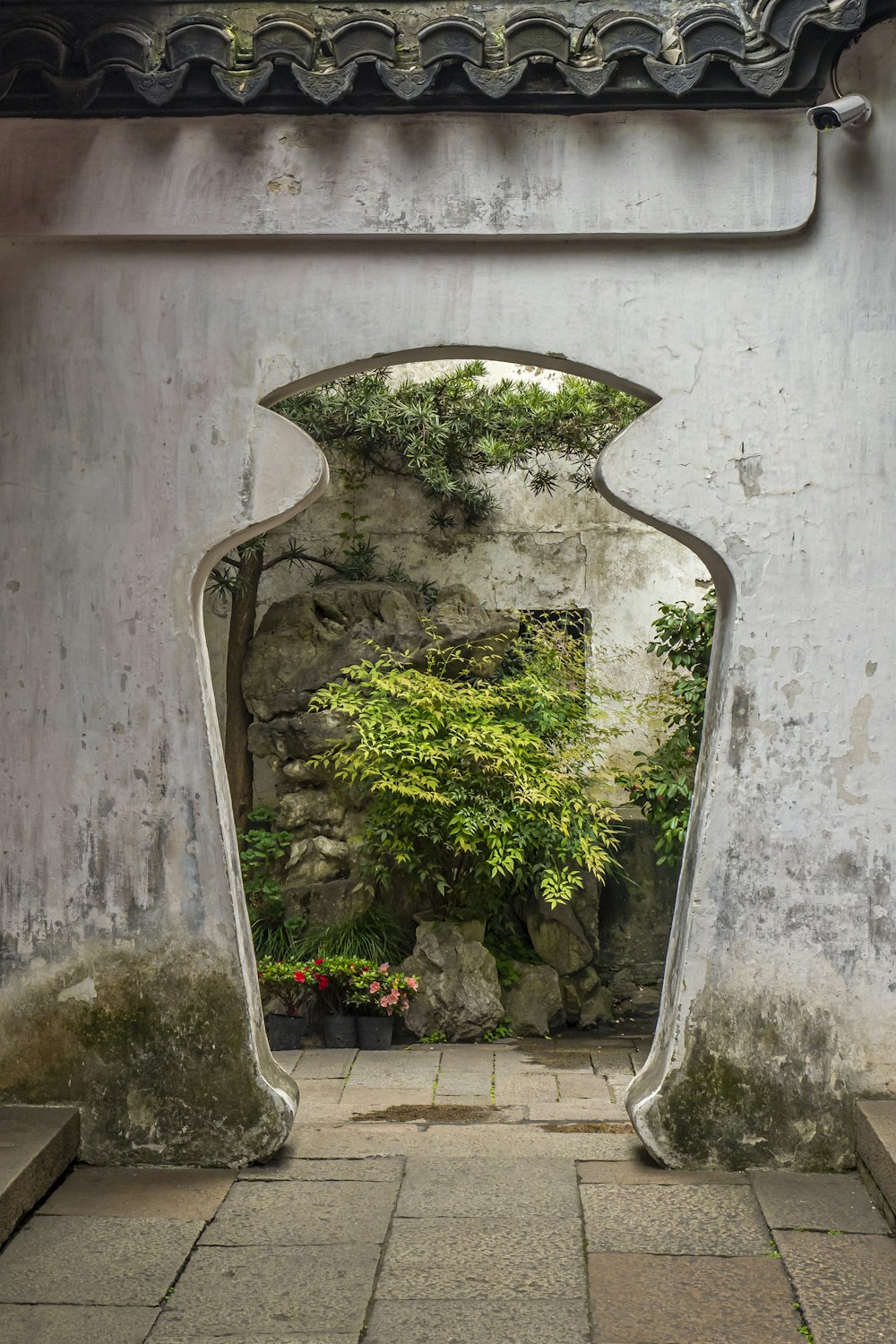 a stone wall with a small tree in the middle of it