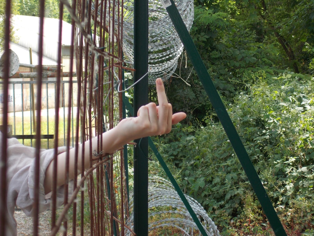 a person pointing at a bird in a cage
