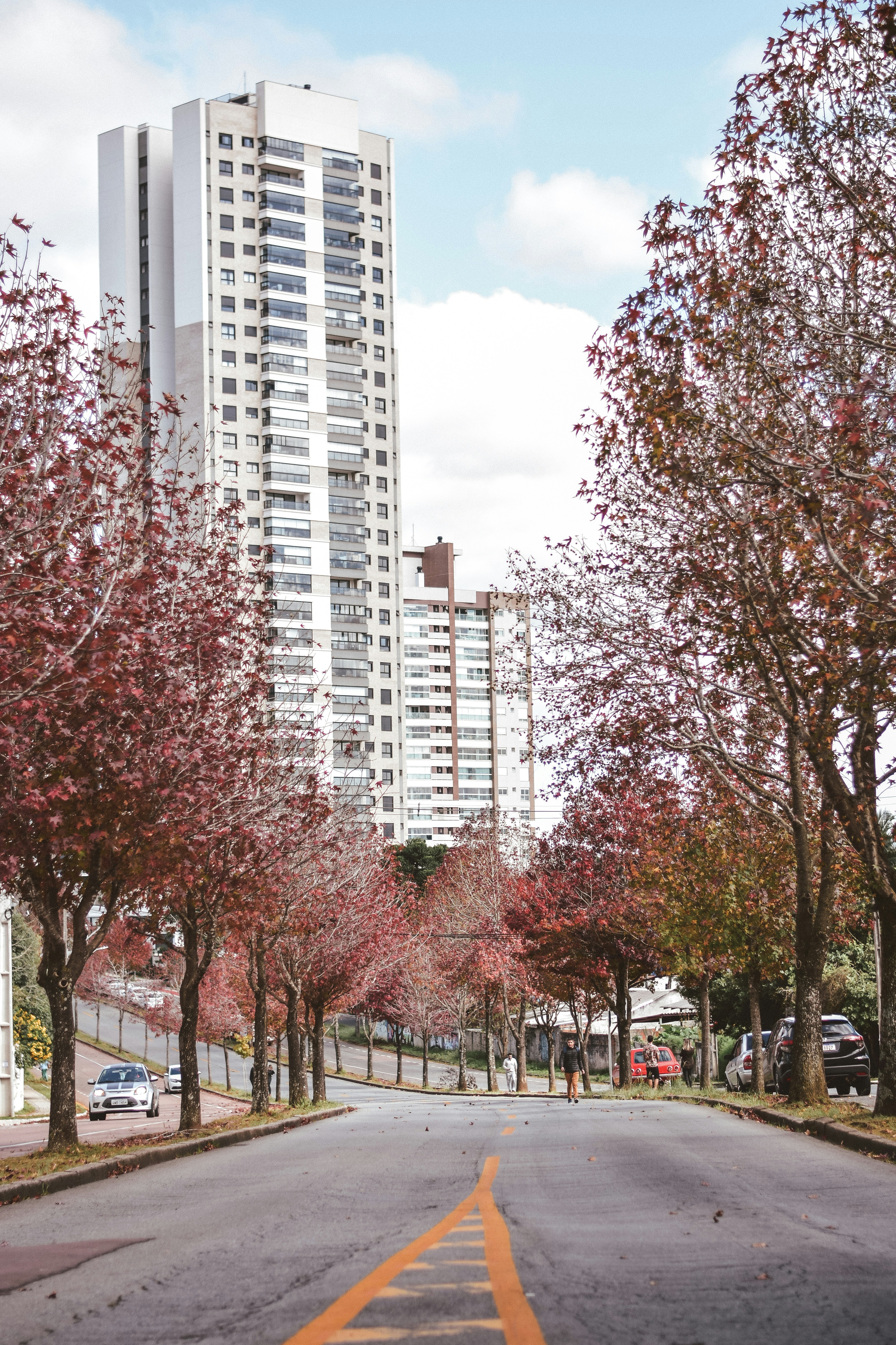 a street lined with tall buildings and trees