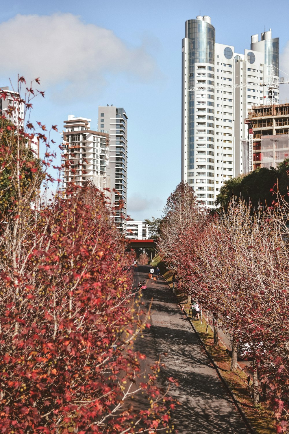 a street lined with trees and buildings in the background