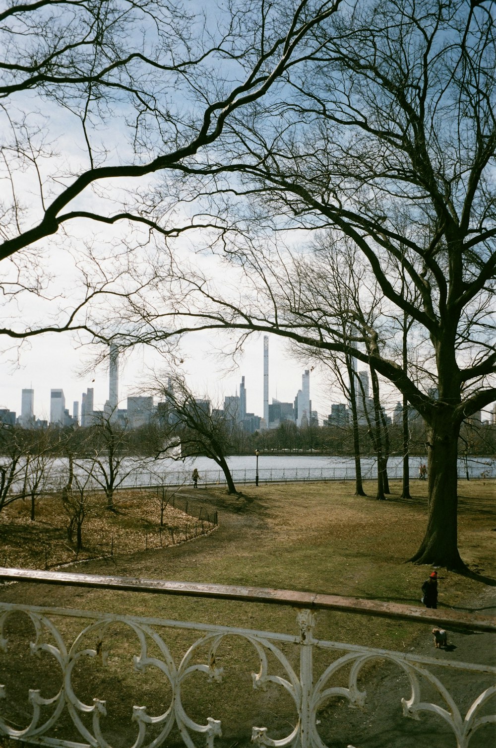 a view of a city from a park