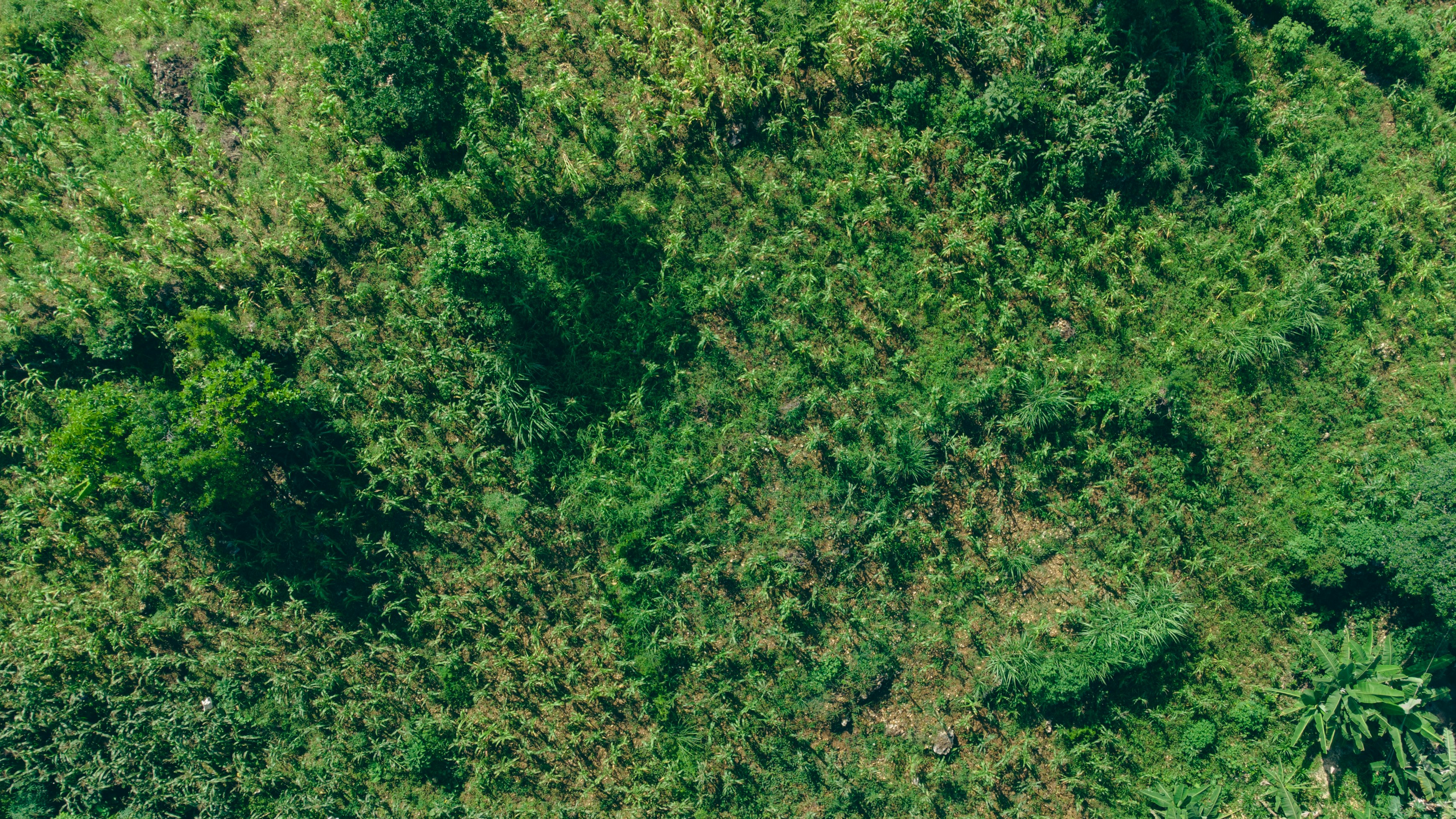 Photo by paulmoville