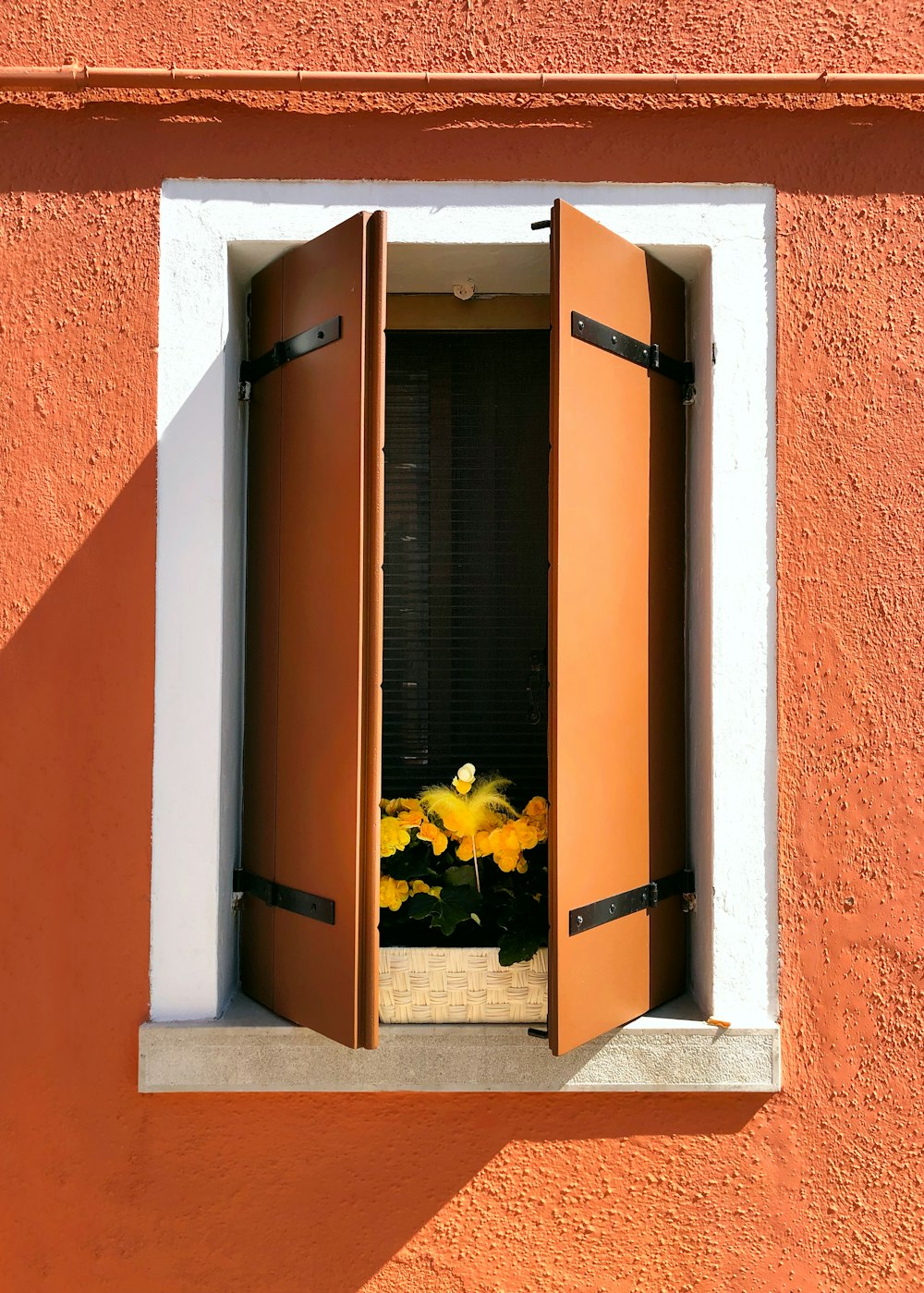 a window that has a bunch of flowers in it