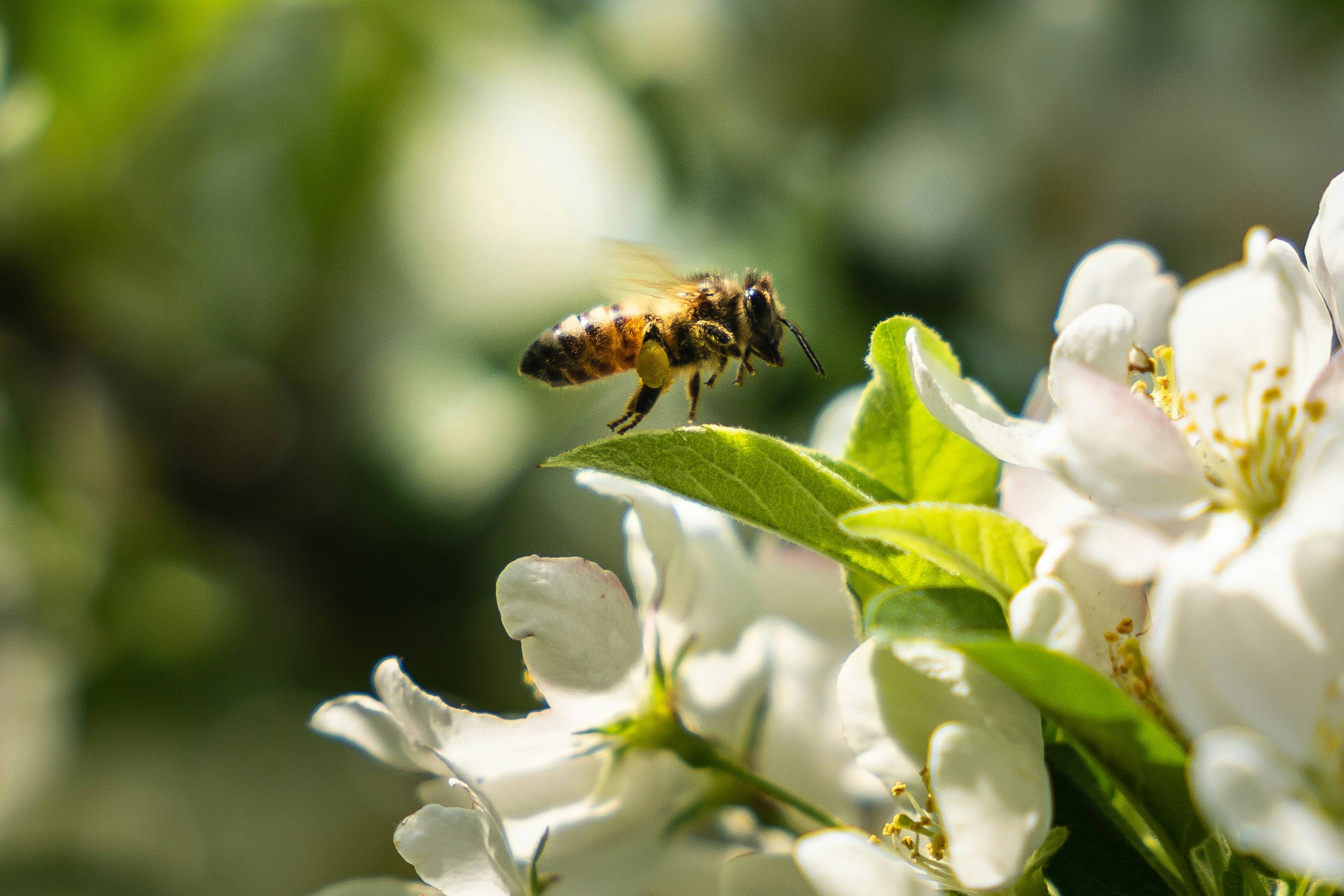 Photo by letslivealife