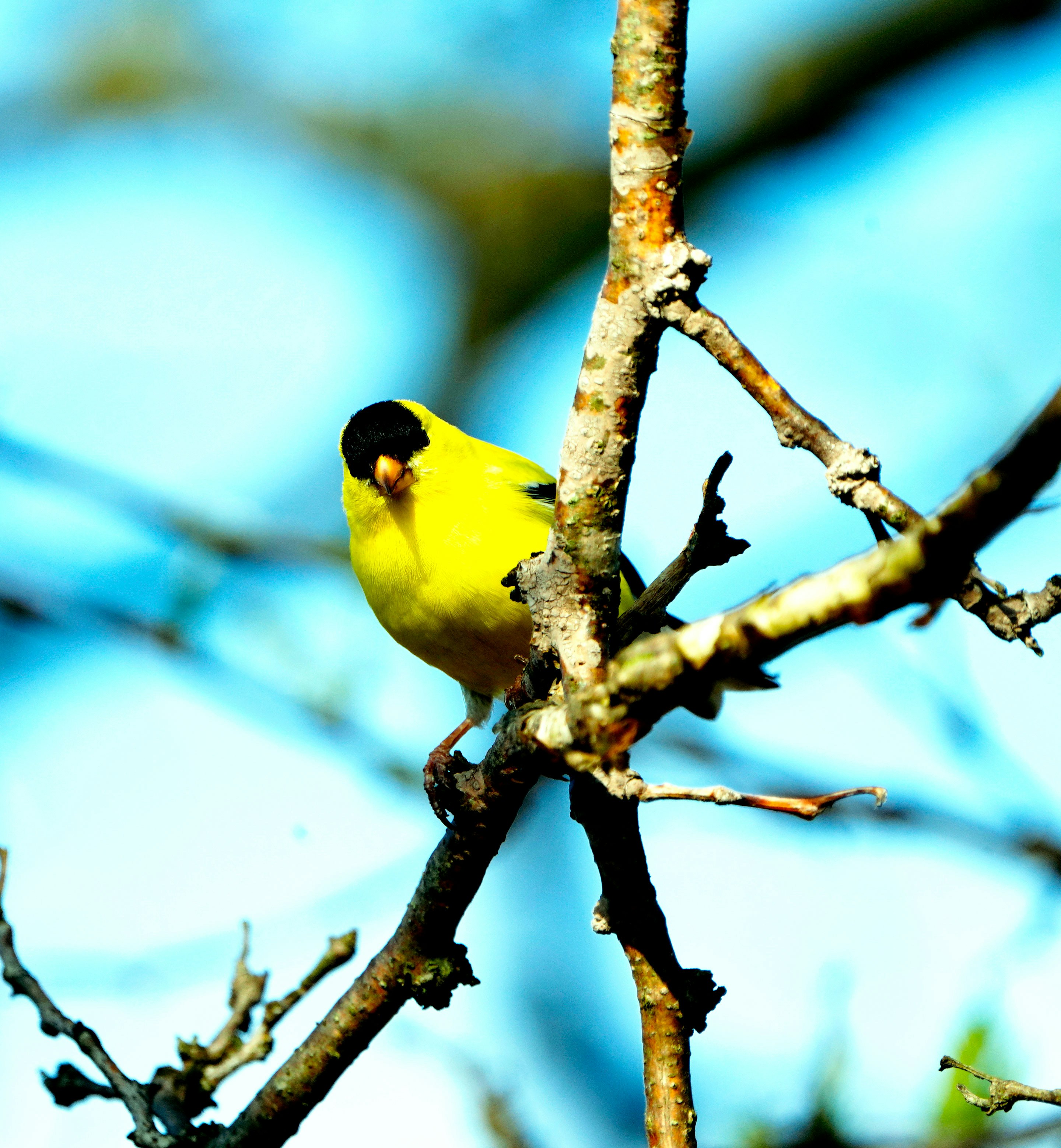 Photo by letslivealife