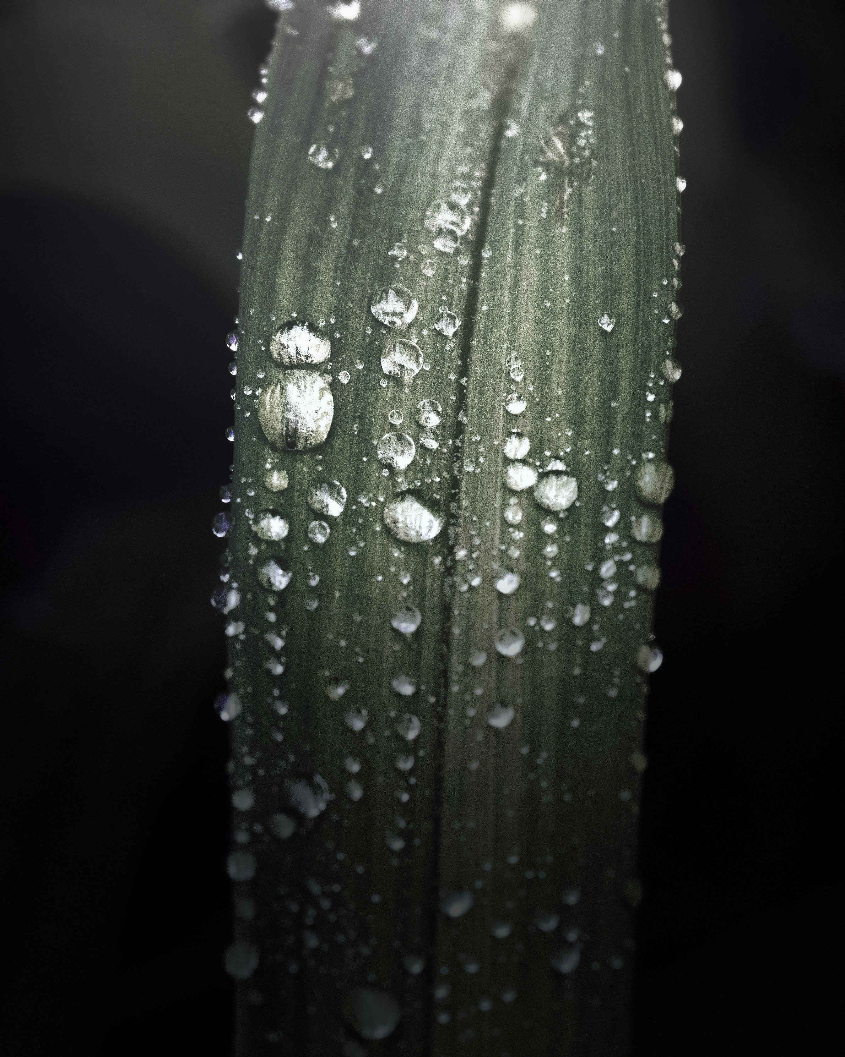Photo by gavrix