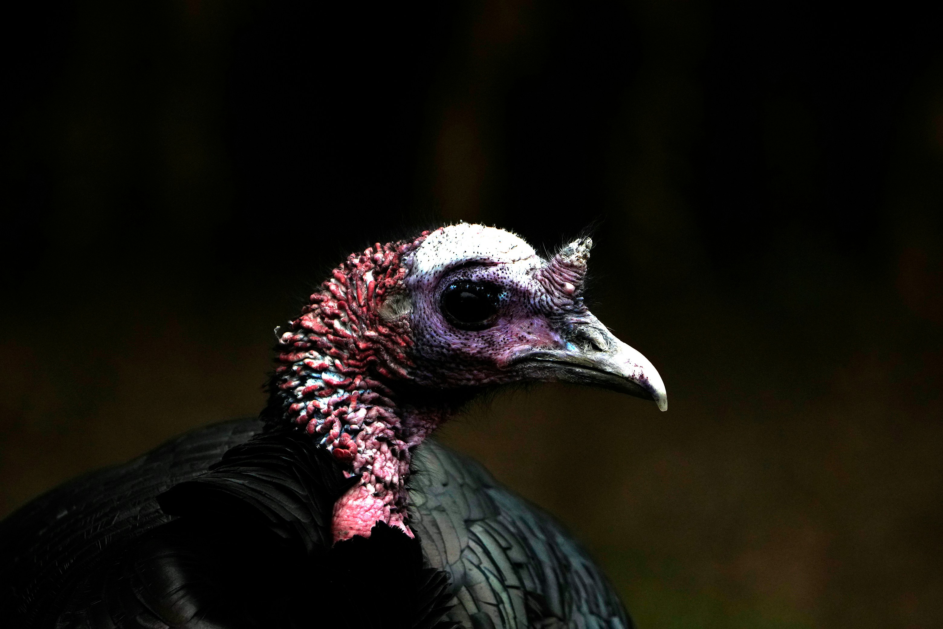 Photo by letslivealife