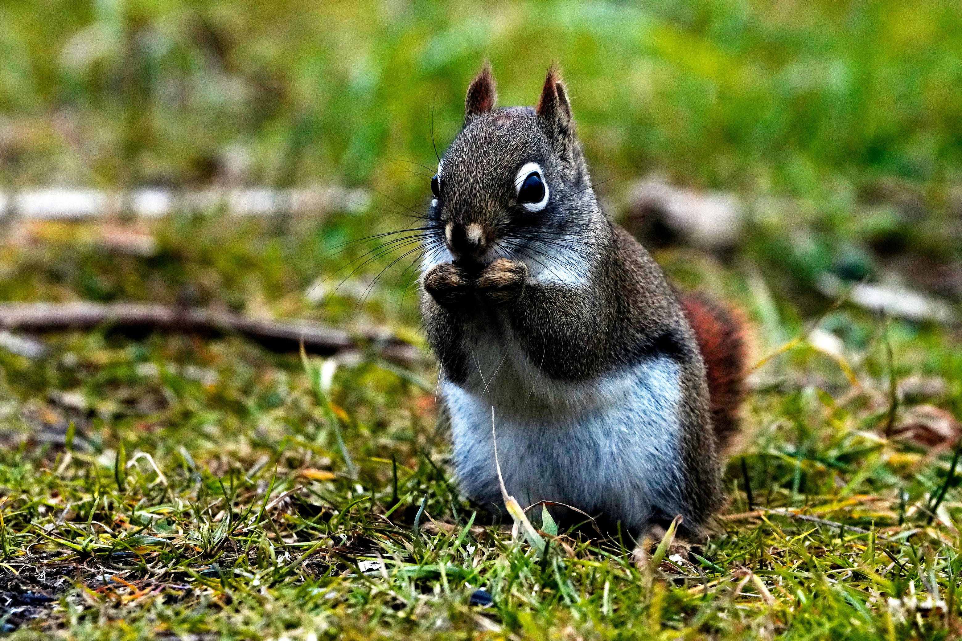 Photo by letslivealife