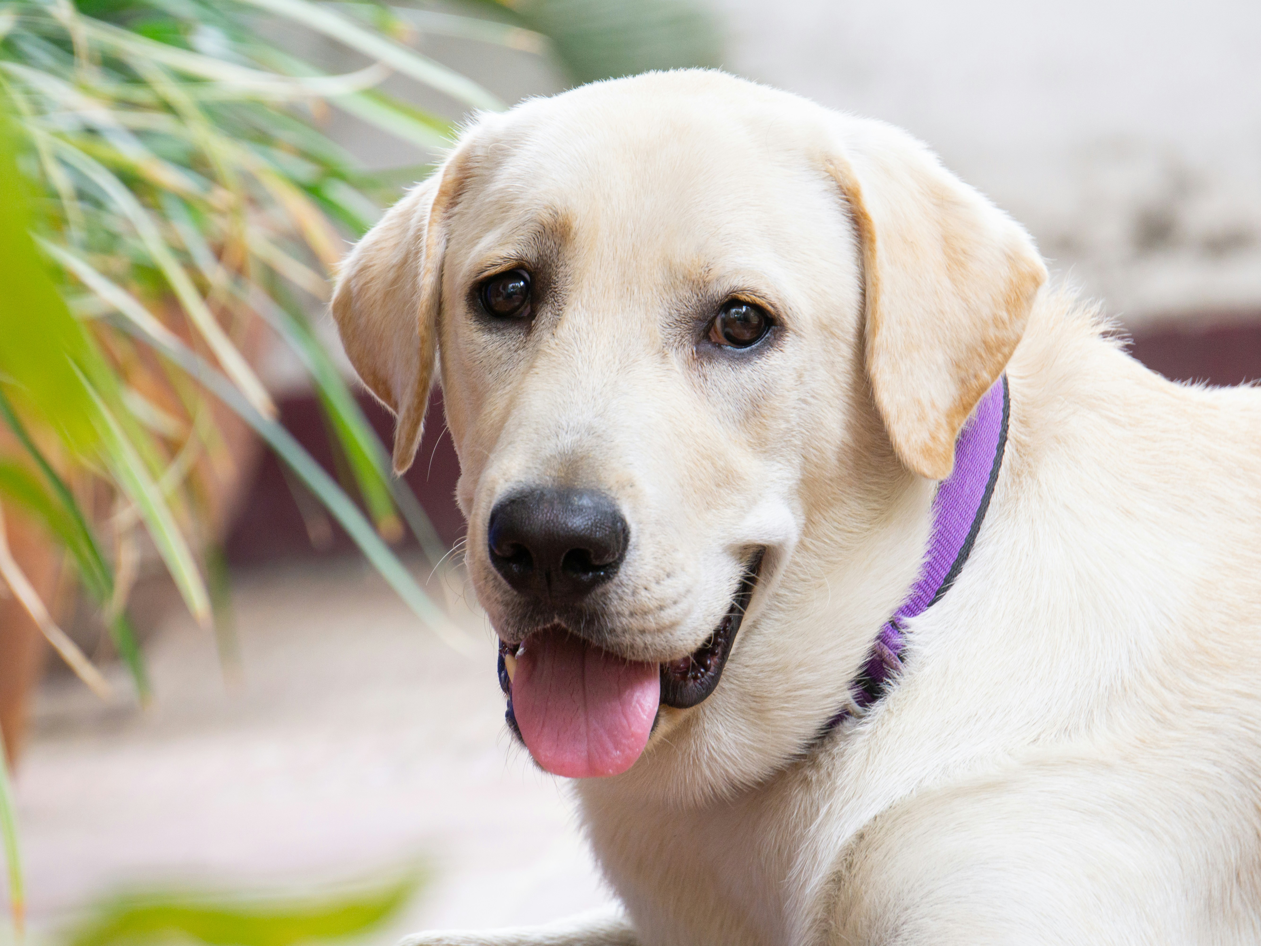 Photo by daniel_joshua_