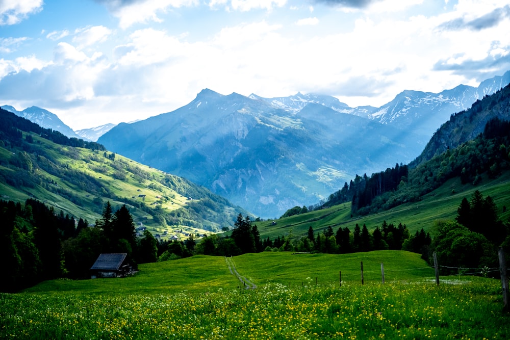 a lush green hillside with mountains in the background