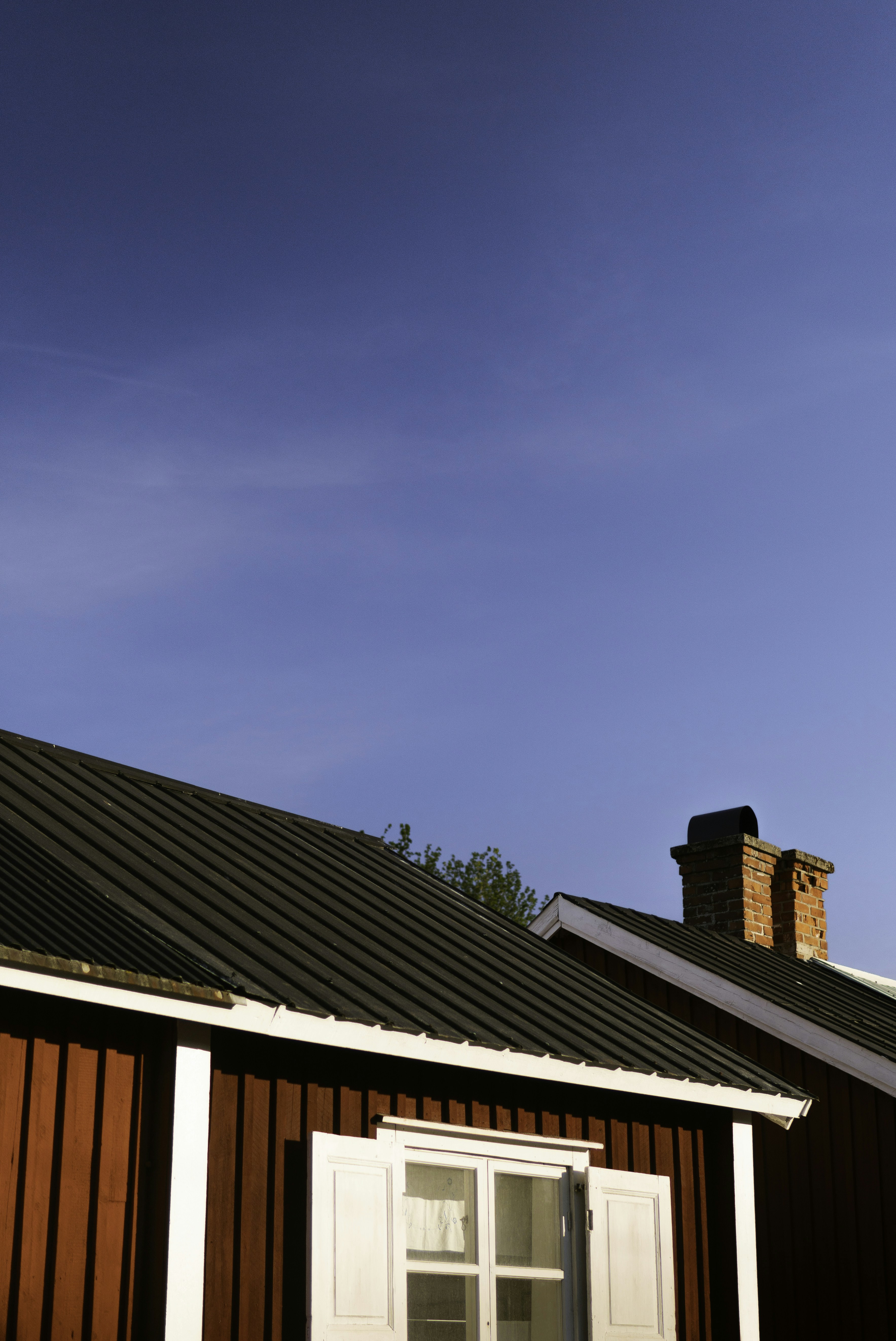 Photo by hktrpttrssn