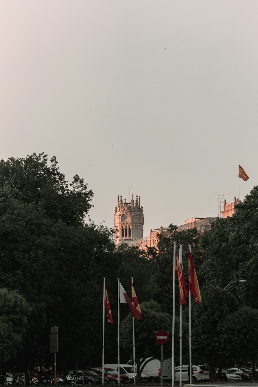 a group of flags that are in the grass