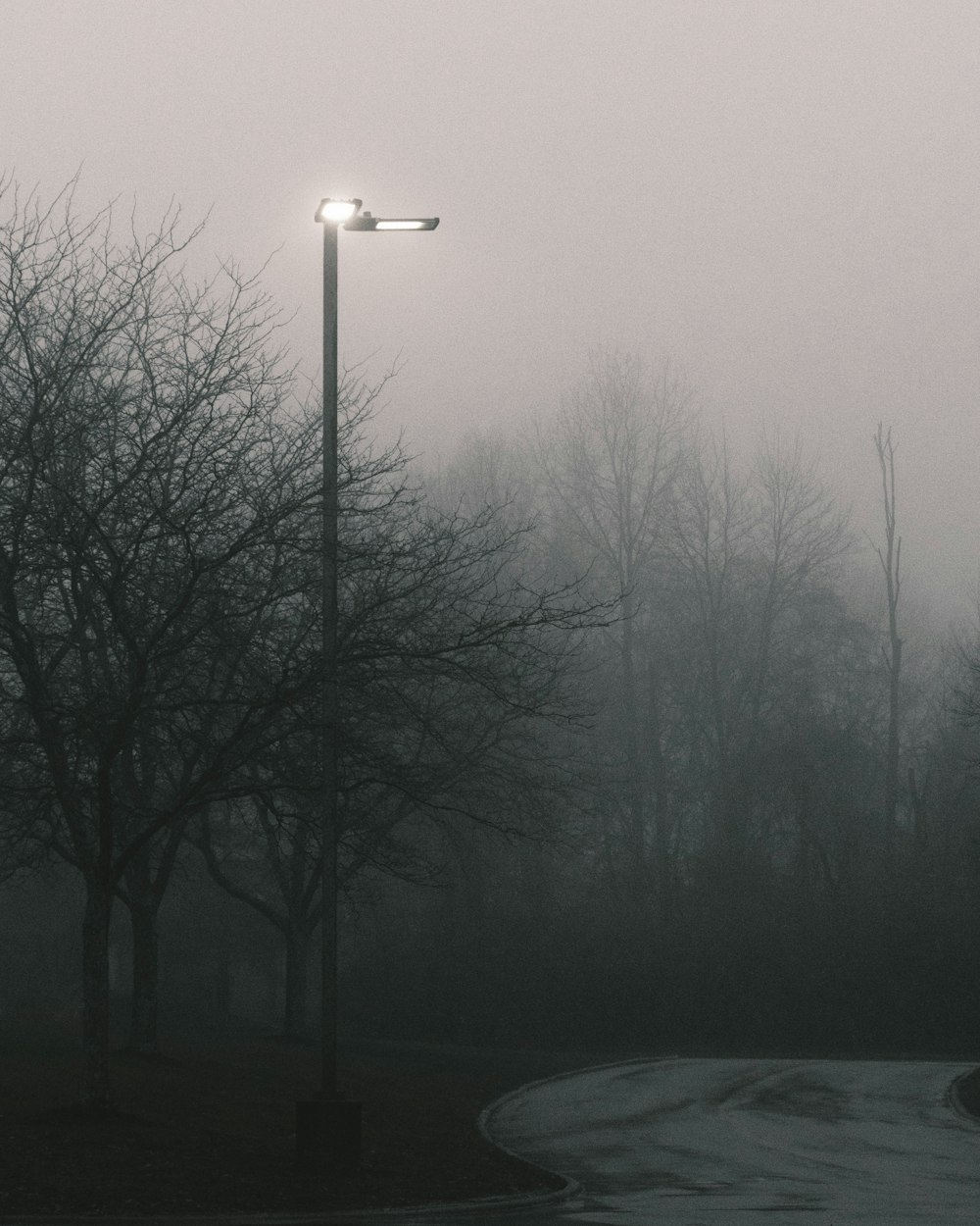 a street light in the middle of a foggy park