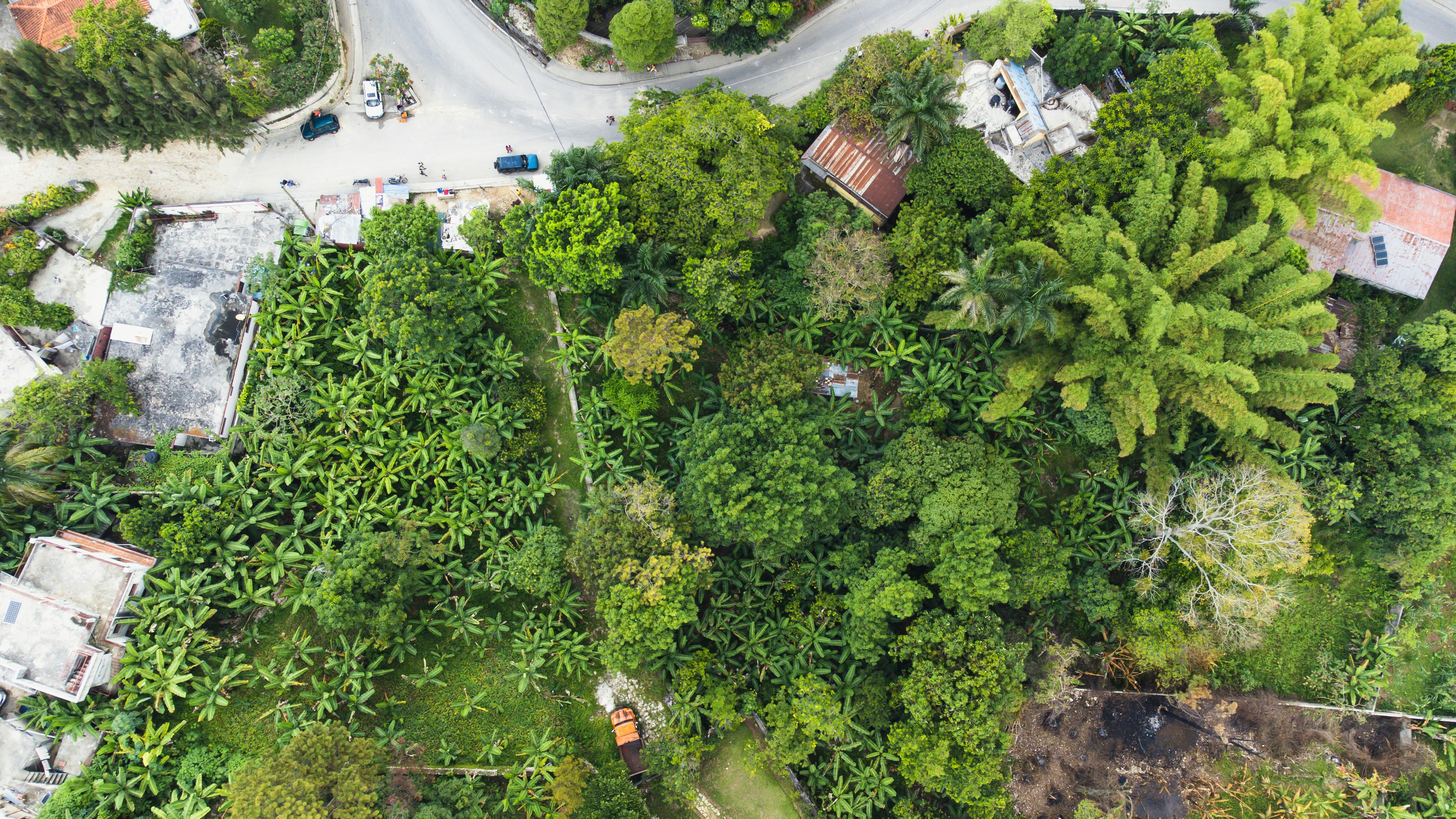 Photo by paulmoville