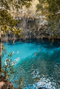 A natural cenote surrounded by lush greenery, with crystal clear blue water. Several swimmers are enjoying the water, with jungle vines cascading down the rock walls. The area is abundant with foliage, creating a serene and inviting environment.