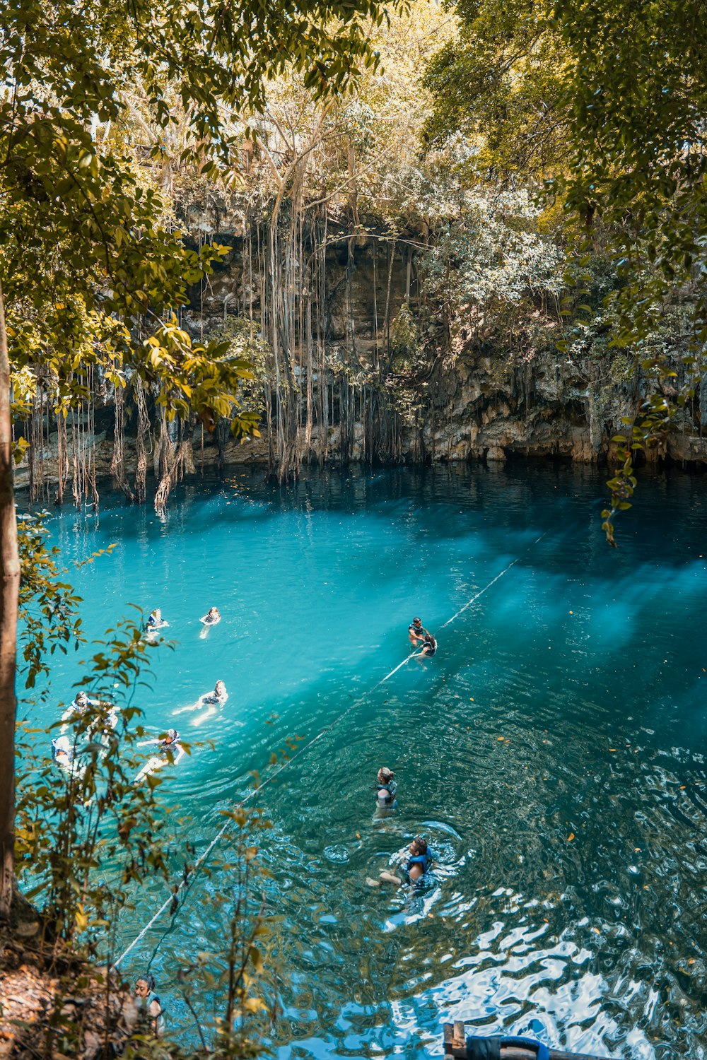a group of people swimming in a blue pool