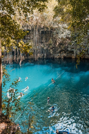 a group of people swimming in a blue pool
