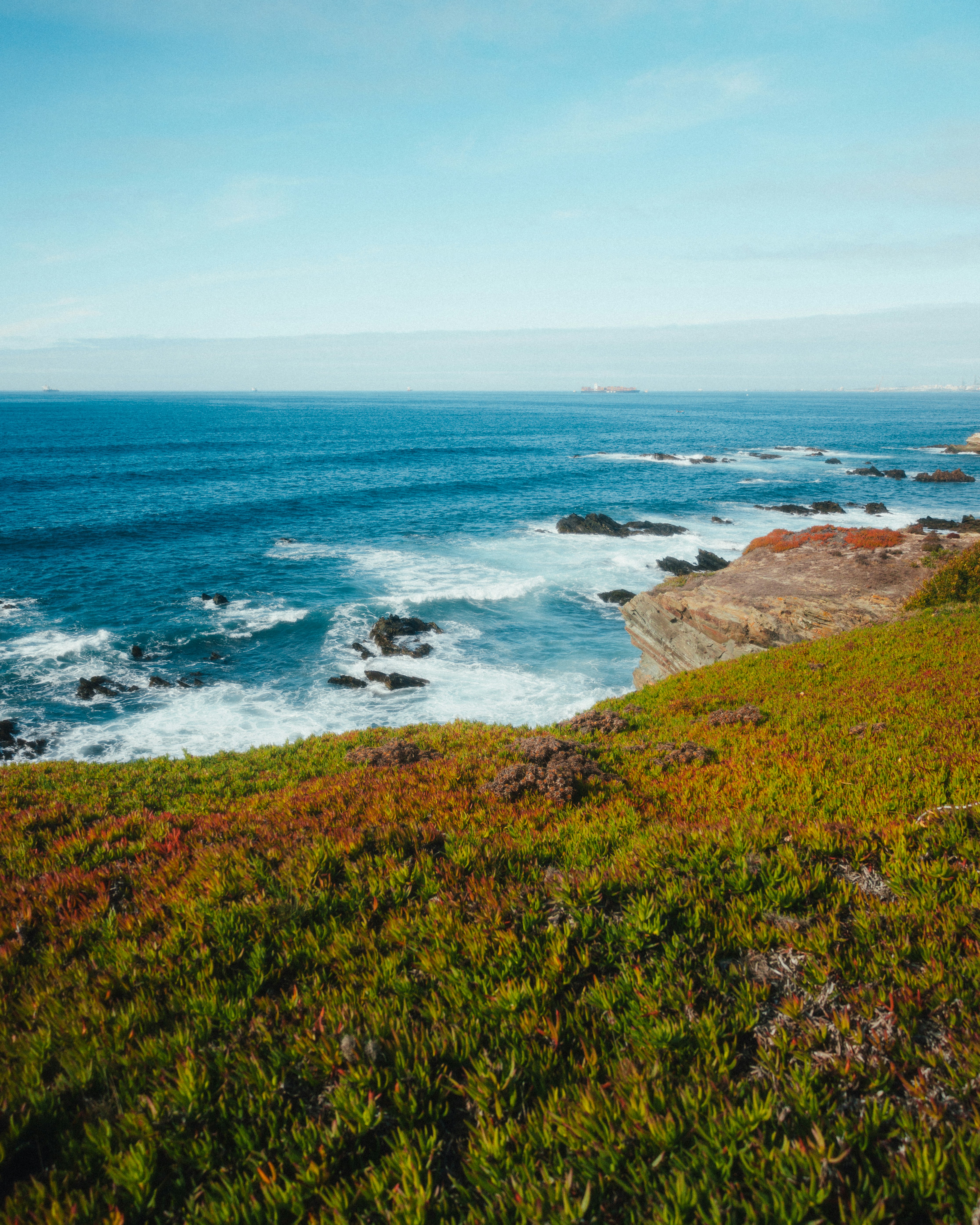 Photo by rodrigoesant