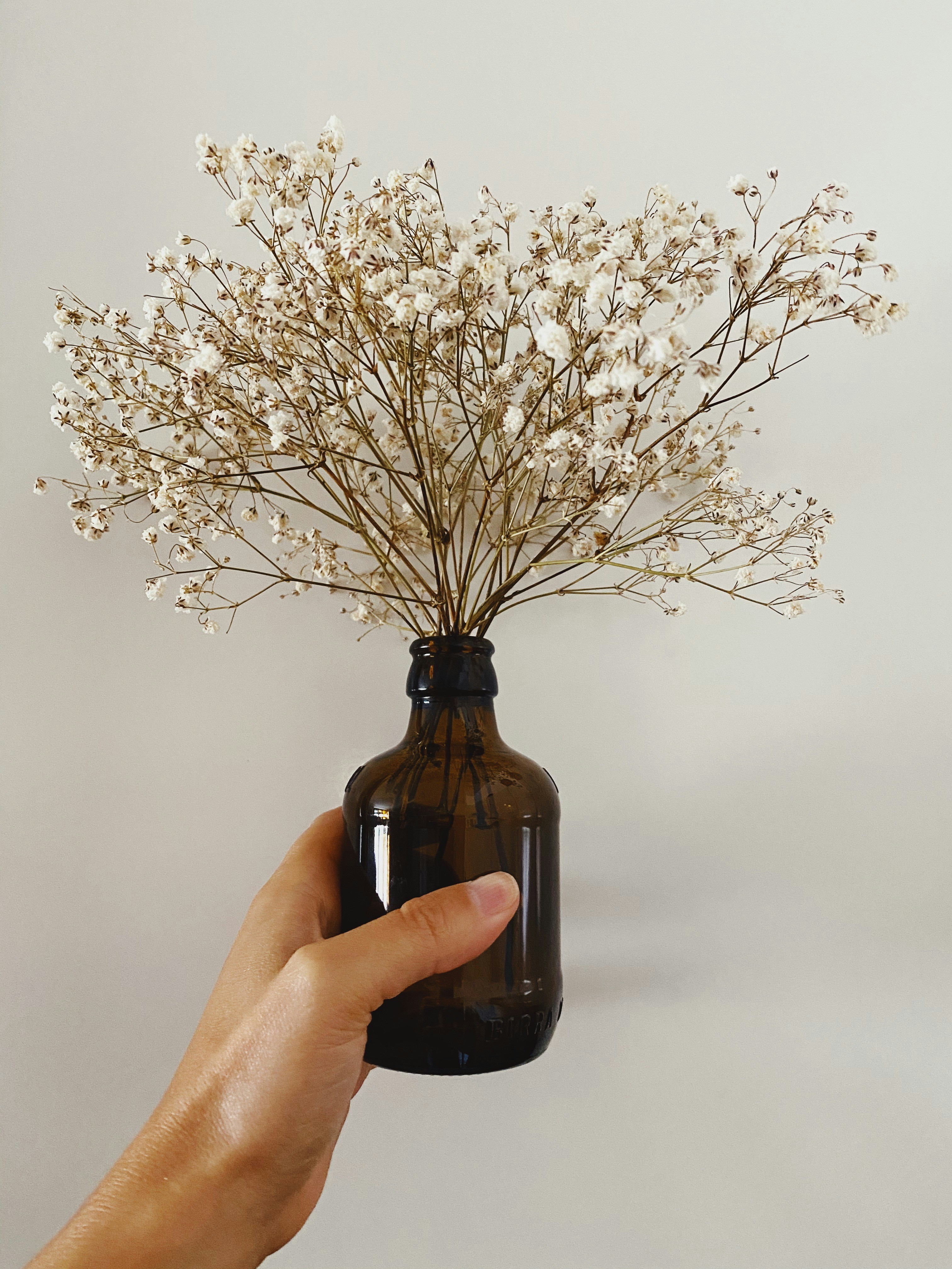 Photo by byalinefroess