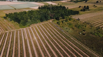 Aerial view of vast Brazilian farmland with clear boundaries and crops.