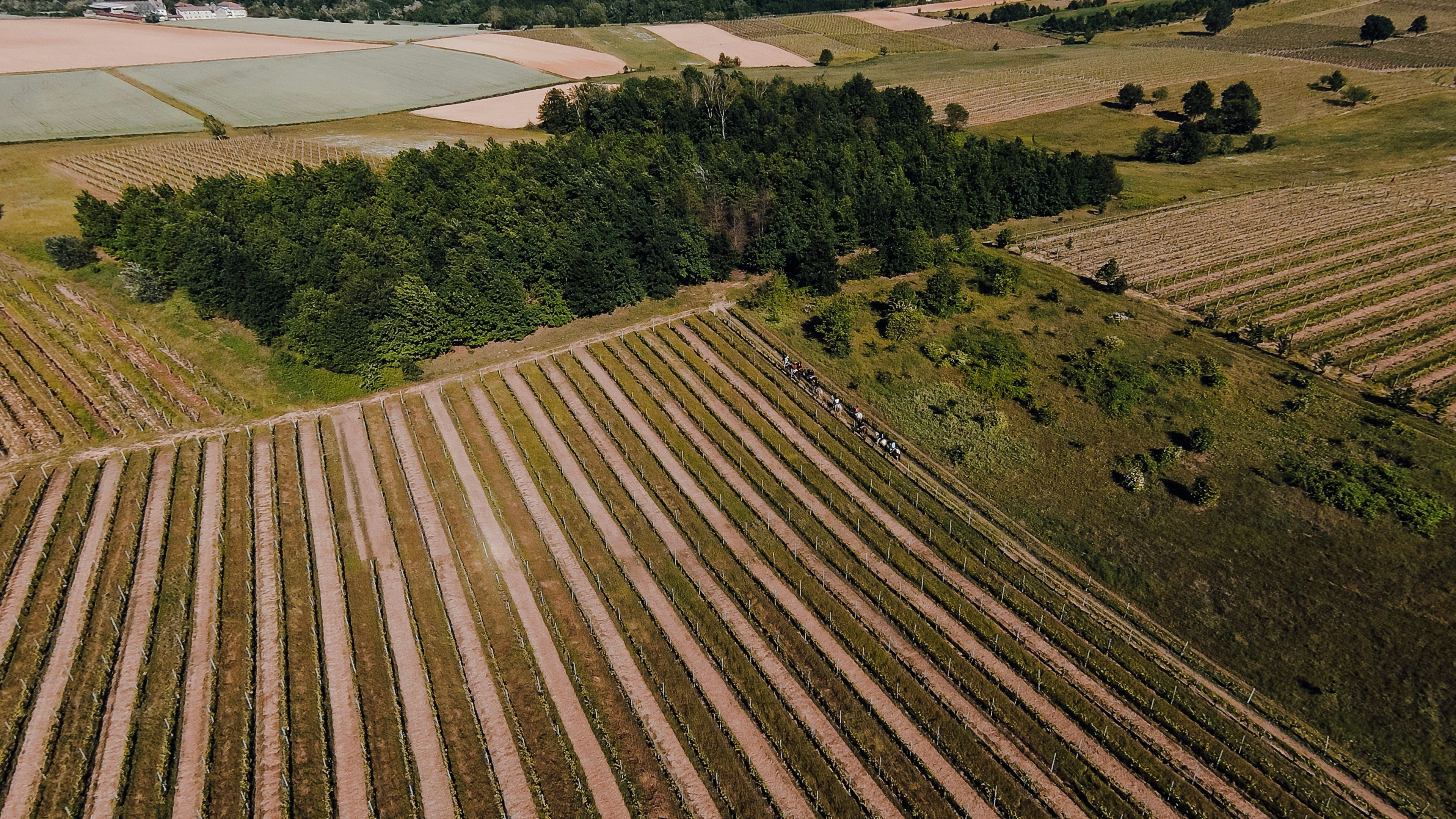 Choose from a curated selection of Italy photos. Always free on Unsplash.