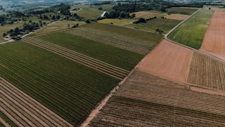 An aerial view of expansive agricultural fields arranged in neat patches. The landscape is a mix of green and brown hues, with visible dividing lines between different plots. Rolling hills and distant woodlands can be seen in the background.