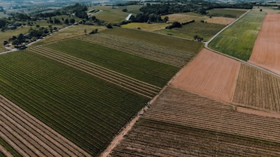 An aerial view of expansive agricultural fields arranged in neat patches. The landscape is a mix of green and brown hues, with visible dividing lines between different plots. Rolling hills and distant woodlands can be seen in the background.