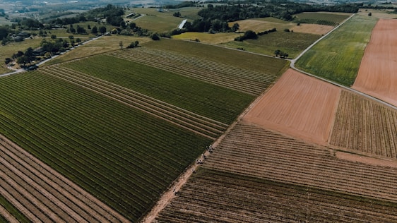 An aerial view of expansive agricultural fields arranged in neat patches. The landscape is a mix of green and brown hues, with visible dividing lines between different plots. Rolling hills and distant woodlands can be seen in the background.