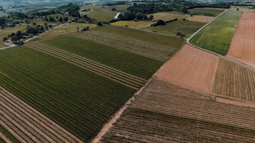 An aerial view of expansive agricultural fields arranged in neat patches. The landscape is a mix of green and brown hues, with visible dividing lines between different plots. Rolling hills and distant woodlands can be seen in the background.